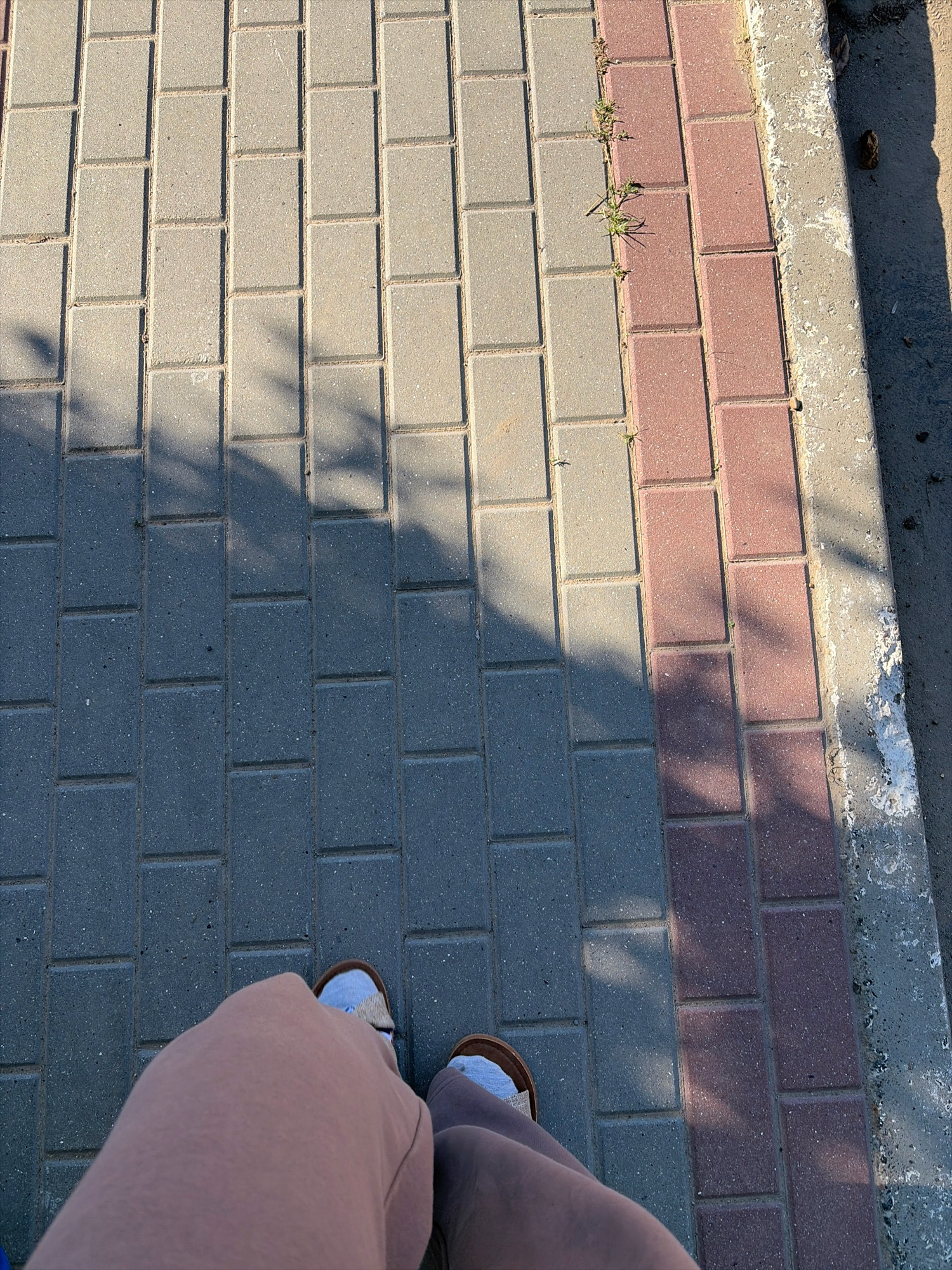 The image depicts a first-person view of a person's legs and feet standing on a paved walkway in Oxentea, Moldova. The walkway is constructed with rectangular interlocking pavers, alternating in color between light gray and a reddish-brown. A strip of red pavers runs along the right side of the walkway, bordering a concrete curb. Small patches of grass are growing between some of the pavers. Shadows from an unseen source, likely trees or a structure, are cast across the walkway. The person is wearing light-colored sneakers and loose-fitting tan pants. The overall environment suggests an outdoor public space.