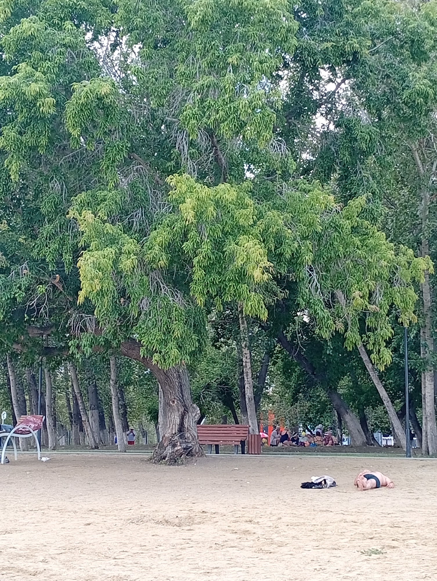 The image depicts a sandy area in front of a treeline, likely a park or recreational space in Мичурин ауылдық округі, Kazakhstan. In the foreground, two individuals are lying on the sand. The person on the right is lying on their side, wearing dark swim trunks. To the left, another person is lying down with clothing, possibly a backpack, next to them. In the middle ground, a wooden bench is visible, and behind it, a group of people are seated or standing in front of a building or structure that is mostly obscured by trees. There are numerous trees with green foliage, some appearing older and more gnarled, with thinner, younger trees further back. A decorative bench with a red seat is also present on the left side of the image. The overall impression is a public outdoor space during daylight hours.