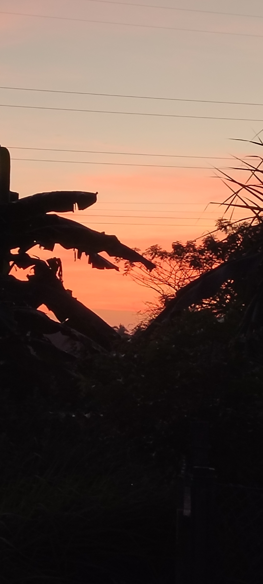 The image shows a twilight scene with a reddish-orange sky, likely at sunset. Silhouetted vegetation fills the foreground, including banana leaves and other foliage. Power lines are visible against the sky. The specific location within Lhokseumawe, Indonesia, cannot be determined from the image alone. No people are visible.