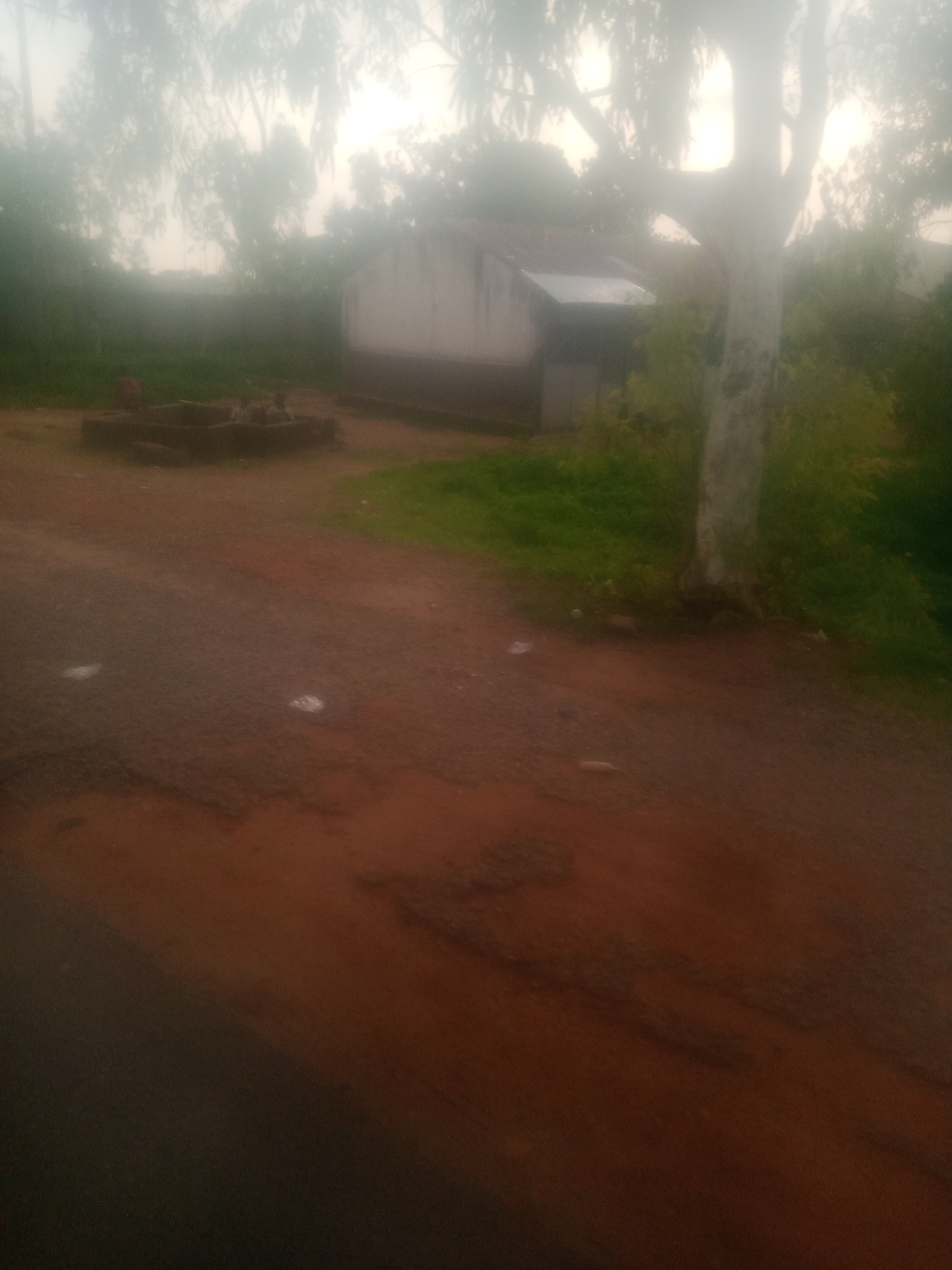 In Jauro Yinu, Nigeria, the image depicts an outdoor scene with a dirt road in the foreground and a building in the background. The road is a reddish-brown color and appears to have some patches of lighter brown, possibly indicating erosion or different soil compositions. There are scattered white pieces of debris on the road, possibly plastic bags or paper. To the left of the road, there is a dark, rectangular structure that looks like a well or a water source, with a few indistinct shapes within it, suggesting the presence of people or objects.
Behind the road and the well structure, there is a low-lying building with a white exterior and a darker, possibly corrugated metal roof. The building is partially obscured by vegetation. To the right of the building, a large tree with a light-colored trunk stands prominently. The background is filled with trees and foliage, with a bright, hazy sky overhead, suggesting either dawn or dusk, or possibly a dusty environment. The overall impression is of a rural or semi-rural setting in Nigeria, likely near a residential area given the presence of the building and the well. The lighting is soft and diffused, making details somewhat unclear, but the scene conveys a sense of everyday life in this location.