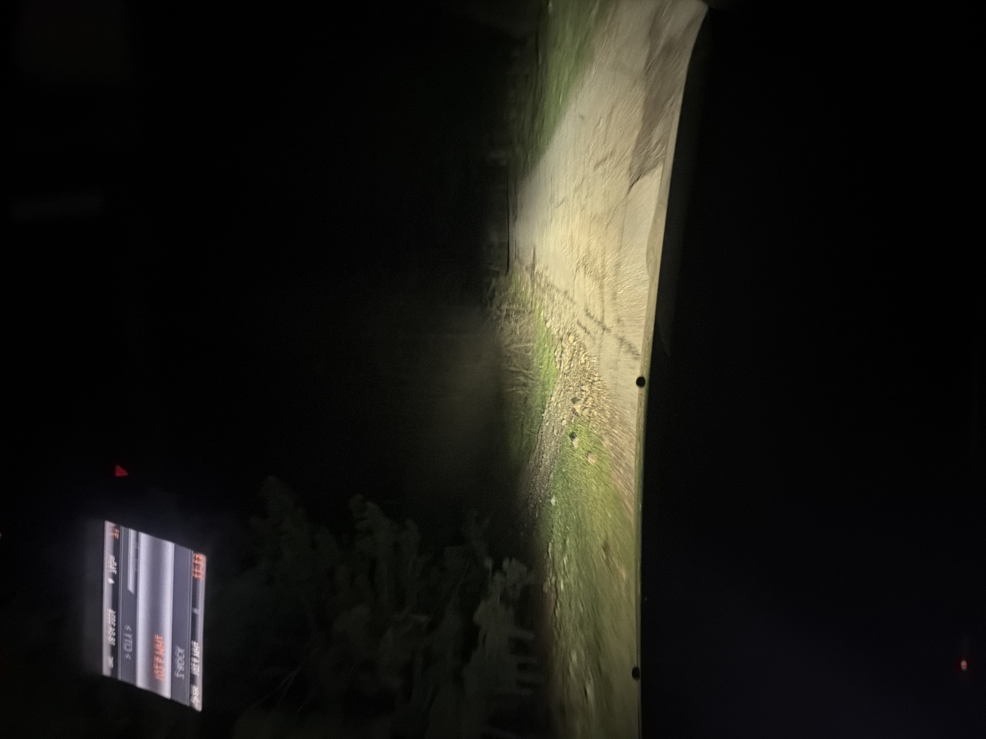 The image appears to be taken from inside a vehicle, looking out through the windshield. The scene depicts a dark road illuminated by the vehicle's headlights. The road surface appears to be asphalt or concrete. The road is lined with vegetation, including what looks like grass and some shrubs, on the right side. The left side of the road is mostly dark and indistinct. In the lower left corner, part of the vehicle's dashboard is visible, including what seems to be a screen displaying text. The image does not contain information to determine the location in Sofia, Bulgaria. No people are visible in the image.