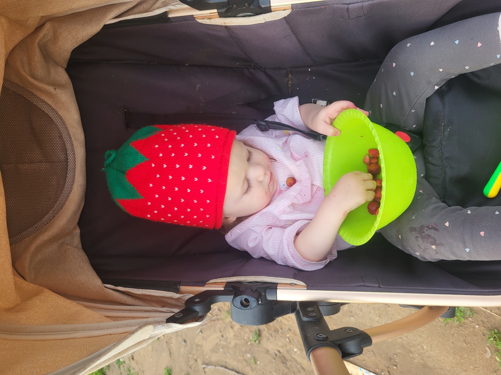 A baby wearing a strawberry-themed hat and a pink striped shirt is lying in a stroller. The baby is holding a bright green bowl filled with strawberries and appears to be eating them. The stroller is a neutral color with black padding inside. The background shows an outdoor setting with a dirt ground and some greenery, suggesting a park or garden. The lighting indicates it is daytime, and the weather appears to be pleasant. The baby's eyes are closed, and their expression is peaceful, suggesting they are content. The scene is likely taking place in a rural or suburban area, given the natural elements visible. There is no visible text in the image.