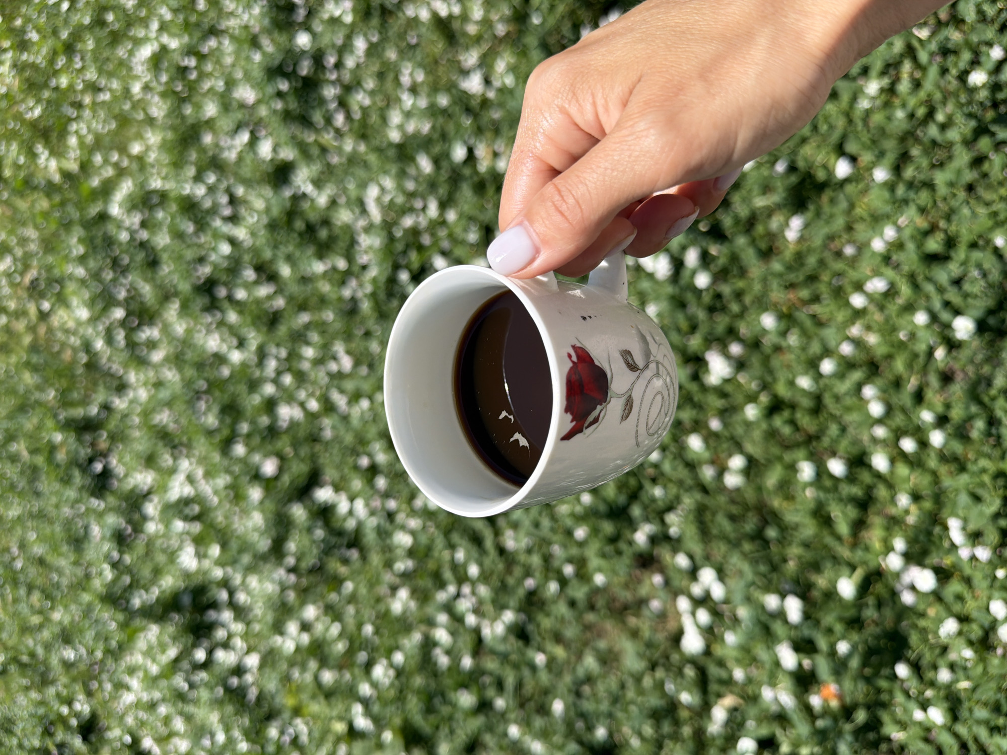 A hand with light-colored nail polish is holding a white coffee cup with a red rose design. The cup is filled with dark liquid, likely coffee. The background is out of focus and appears to be a green grassy area with small white flowers, suggesting an outdoor setting. The sun is shining, casting shadows on the hand and cup, indicating a bright, sunny day. The image is cropped from a vertical perspective, with the coffee cup positioned in the lower right quadrant. The general setting is likely a garden or park. No specific location in Dolni Lukovit, Bulgaria can be identified from the image.