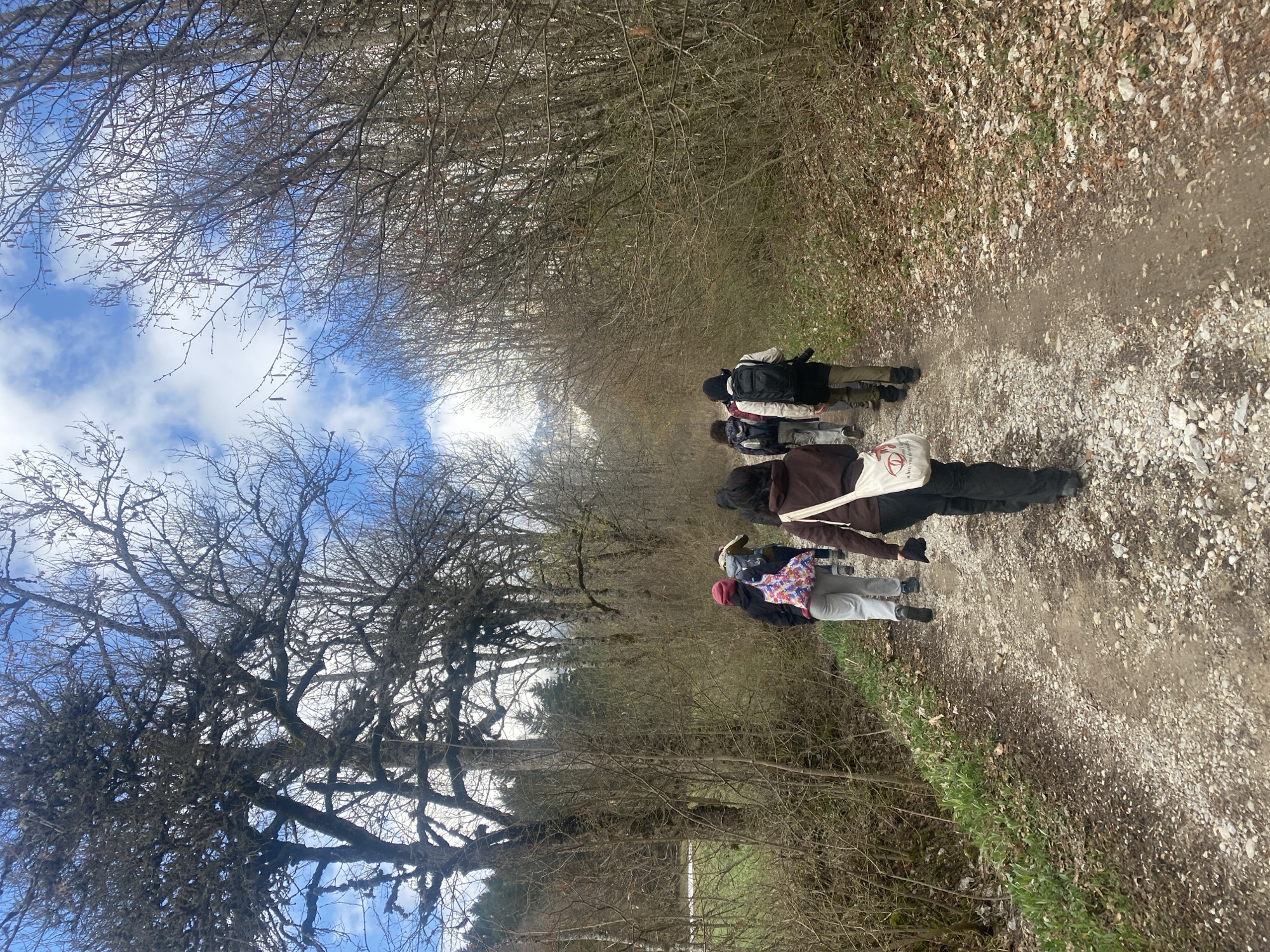 The image depicts a group of people walking along a dirt path through a wooded area in Gresse-en-Vercors, France. The path is flanked by trees with bare branches reaching up towards a blue sky with scattered clouds. The ground is covered in fallen leaves and small stones. The people are walking away from the camera, their faces obscured. They are dressed in casual clothing, including jackets, backpacks, and hats. One person is carrying a white bag with a red design. The scene conveys a sense of being immersed in nature.