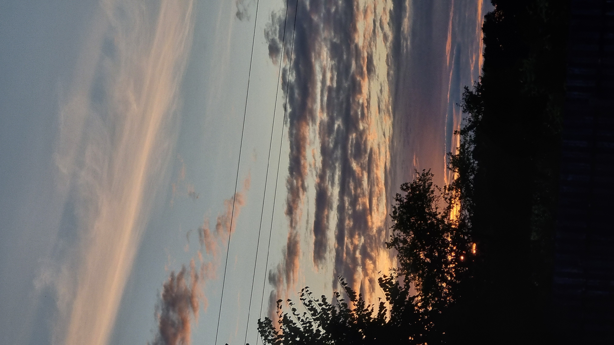 A sunset is captured in Vysokoe, Russia, with the sky painted in hues of pale blue, pink, and purple. Wispy clouds streak across the sky, some tinged with orange from the setting sun. Silhouetted against the vibrant sky are the dark shapes of trees and what appears to be a fence in the foreground. Power lines run horizontally across the upper portion of the image, adding a man-made element to the natural scene. The overall impression is one of twilight in a rural or suburban setting.