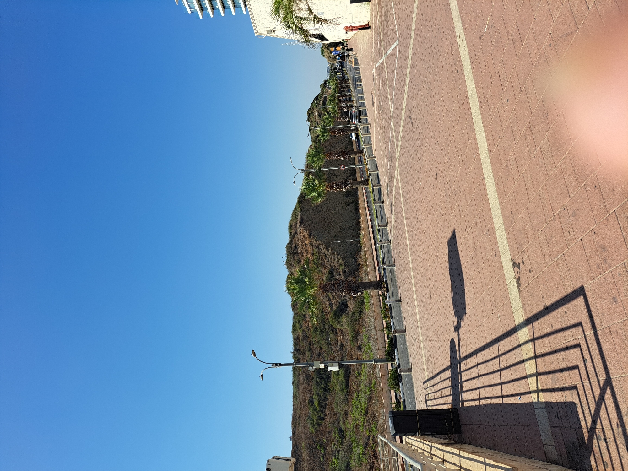 The image shows a clear blue sky over a paved area in Herzliya, Israel. A row of palm trees lines a street with cars driving by. A hill covered in greenery is visible on the left side of the street, and a modern white building stands on the right. The foreground is a brick-patterned walkway with shadows cast by a railing and a trash can. A fire hydrant is visible near the building on the right. There are a few people walking in the distance.