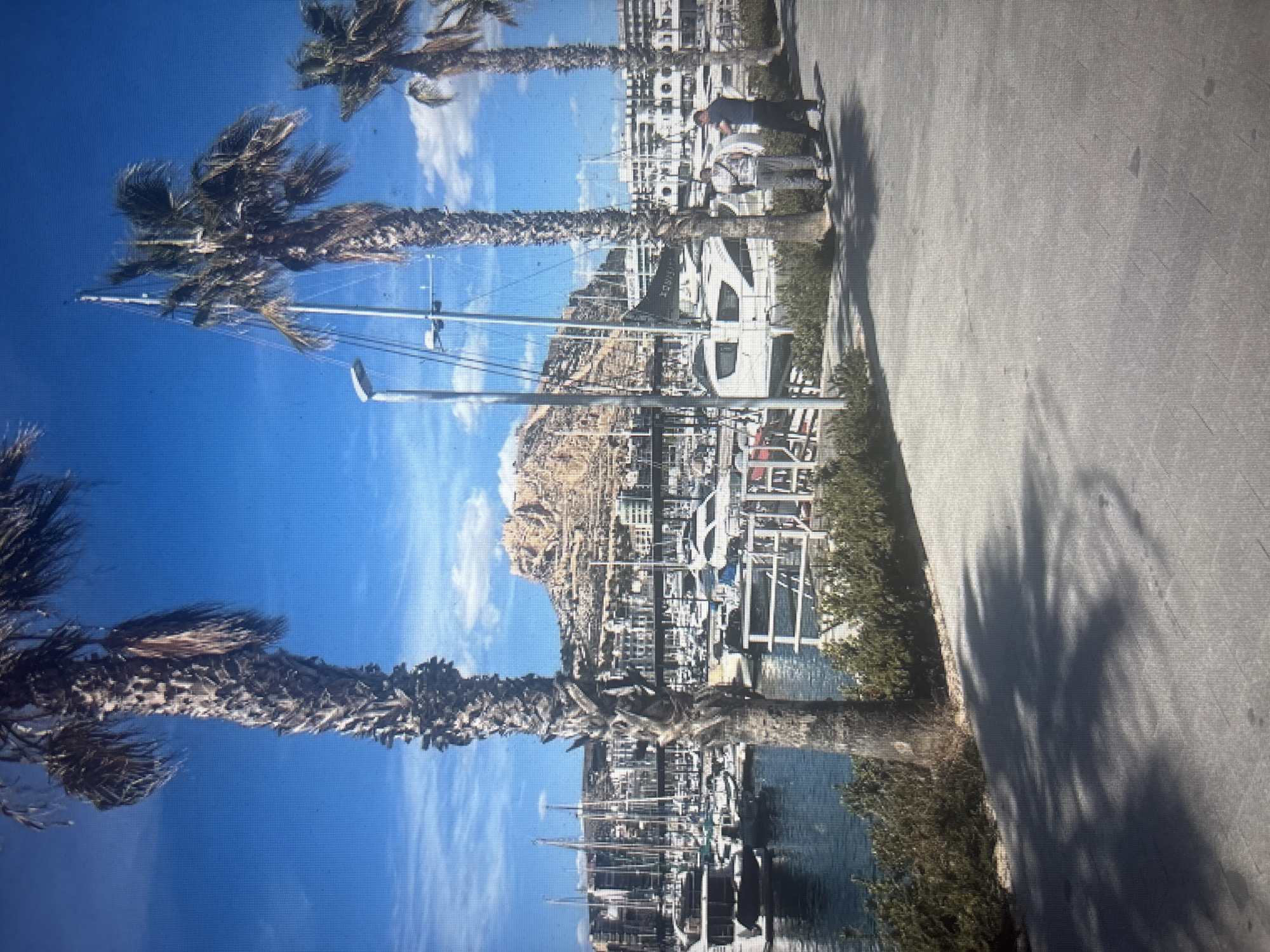 The image depicts a marina with numerous sailboats and yachts docked in the water. In the foreground, three palm trees are prominently visible, casting shadows on a paved walkway. Two individuals are standing on the walkway, facing away from the camera, engaged in conversation or observation of the surroundings. Beyond the marina, a city skyline is visible, with buildings clustered around a prominent hill or mountain topped with ancient ruins. The sky is a clear, vibrant blue with a few scattered clouds, suggesting fair weather. The overall scene conveys a sense of leisure and a coastal urban environment. However, the location is not identified as Sofia, Bulgaria, but rather appears to be a Mediterranean coastal city.
