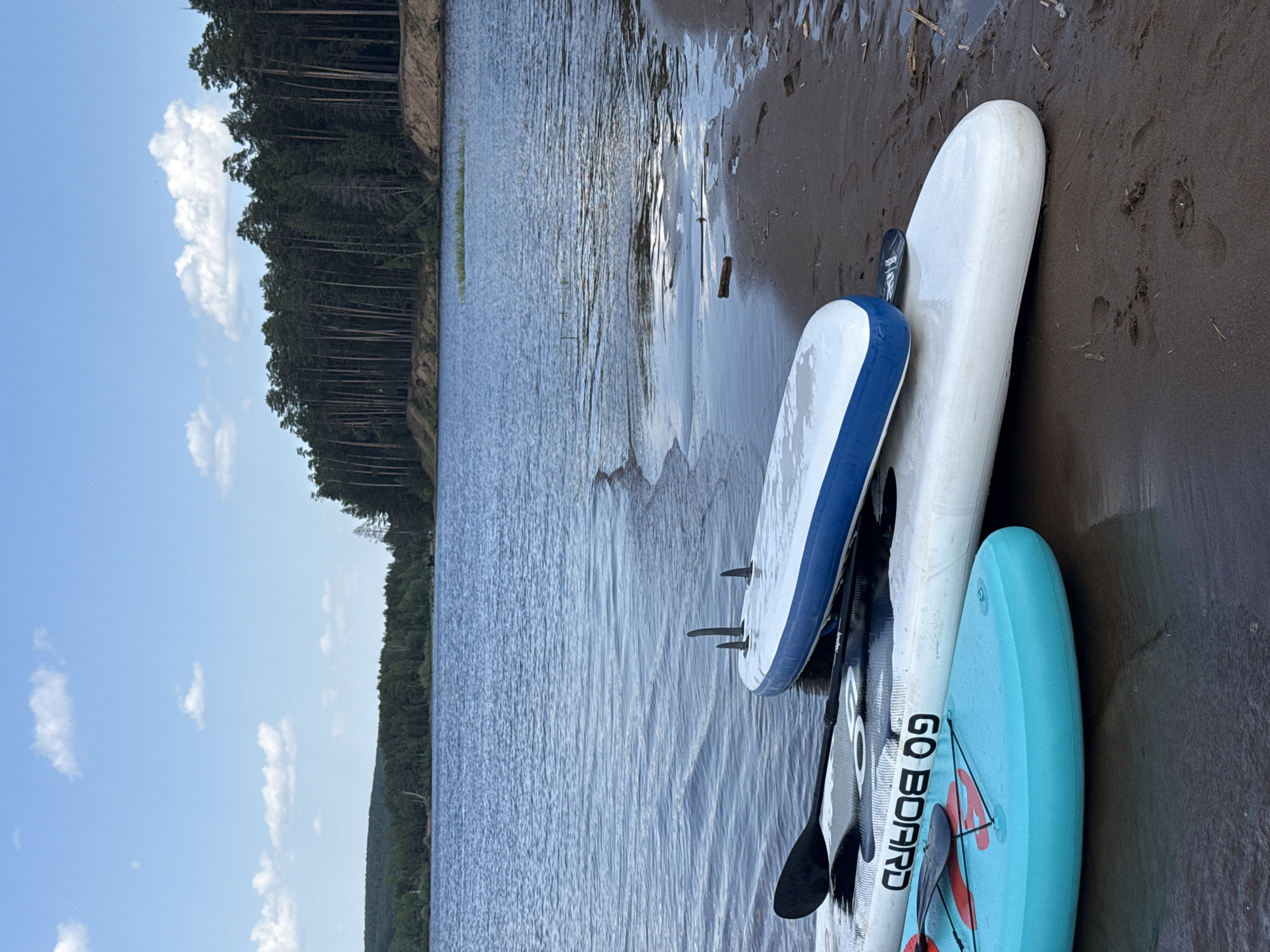 The image depicts three paddle boards lying on a sandy bank next to a body of water. The boards vary in color and size. One board is white, another is white with a blue border, and the third is turquoise. A paddle lies alongside the boards. The water extends to the horizon, where a forested shoreline is visible. The sky is partially cloudy, with a few scattered clouds. The scene is located on the Kama Reservoir in the city of Chaikovsky, Russia.