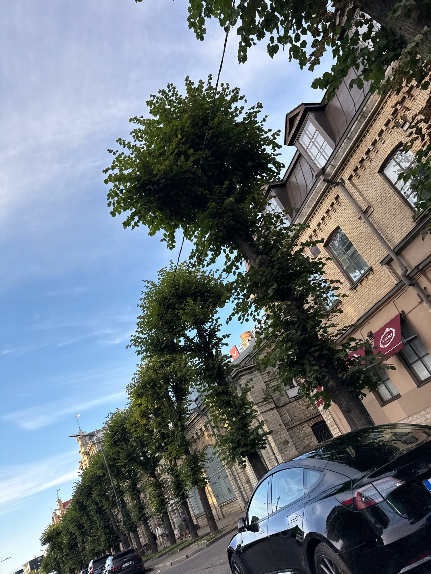 The image depicts a street scene in Tallinn, Estonia, featuring a row of trees lining the sidewalk next to a building. A black car, possibly a Tesla, is parked on the street in the foreground. The building appears to be made of light-colored bricks and has multiple windows, some with dormers. A sign with the word "MyCake" is visible on an awning above one of the windows. The sky is blue with some wispy clouds. In the background, more buildings and trees are visible, suggesting a well-established urban area. Several people are walking on the sidewalk. The perspective of the shot is angled upwards, emphasizing the trees and the sky.