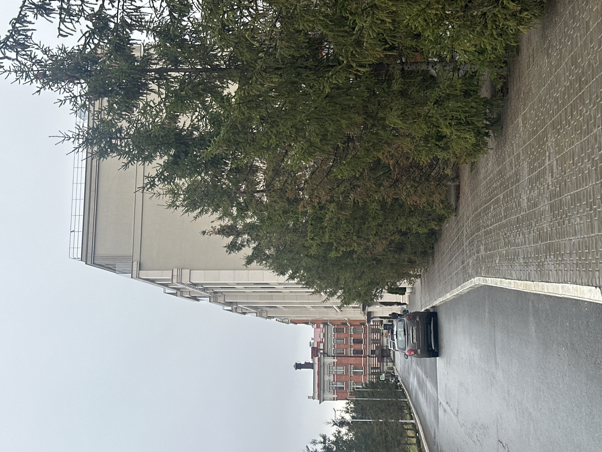 The image shows a street scene in Kazan, Russia. A grey car is traveling on a wet road. A large tree obscures much of the view. A tall, light-colored building is on one side of the street, and a red brick building with white architectural details is on the other. The sky is overcast. The road has a stone wall on one side.