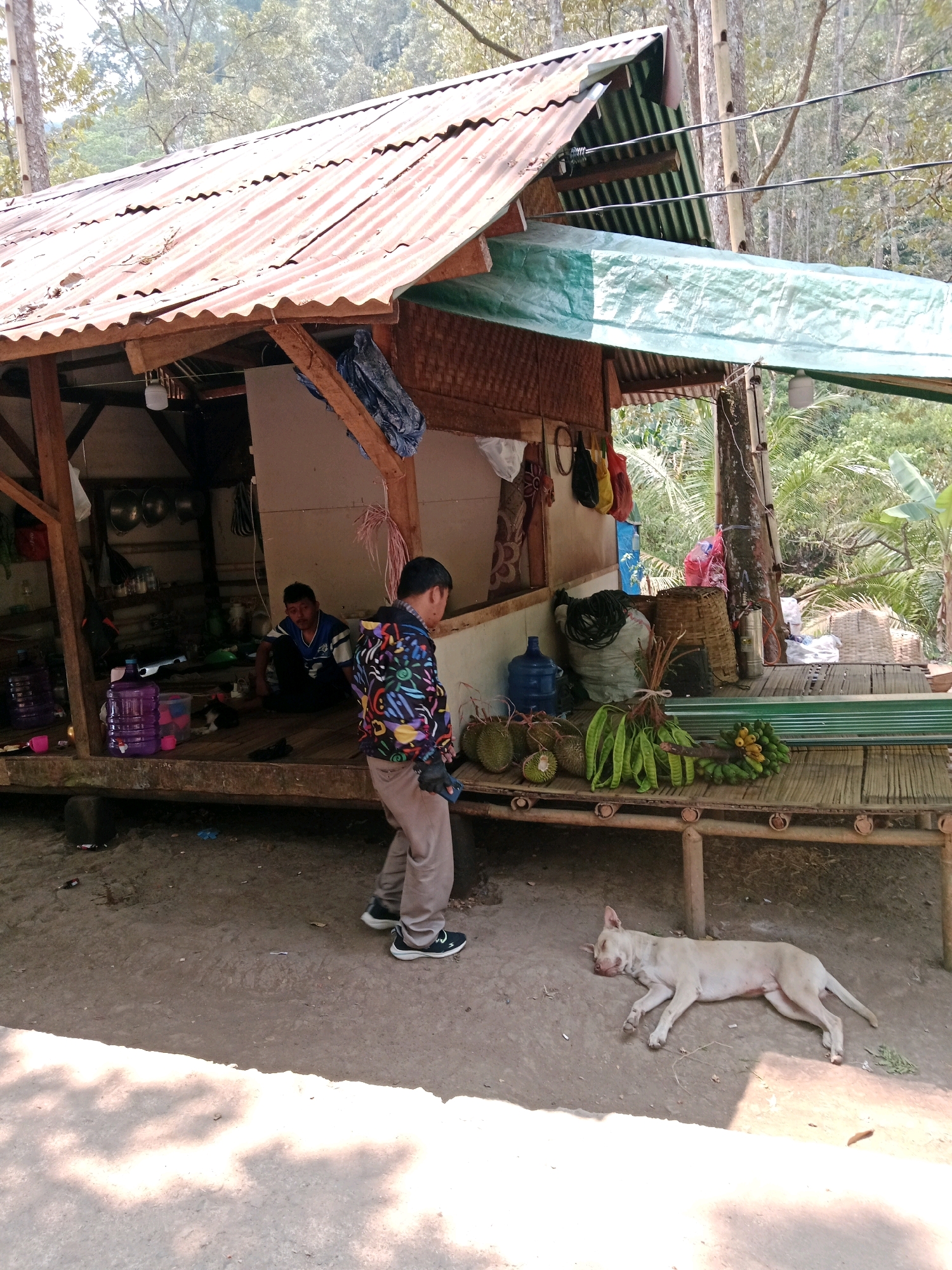 In Leuwikoja, Indonesia, a simple outdoor market stall displays an assortment of goods. A young person in a colorful jacket stands facing away from the camera, examining produce. To their left, another individual sits inside the stall, looking out. A light-colored dog is sleeping on the ground in front of the stall. The stall itself is constructed with a corrugated metal roof and bamboo supports. Various items, including large water jugs, baskets, produce like durian, petai beans, and bananas, are arranged on and around the stall. The environment appears rural, with trees and foliage visible in the background.