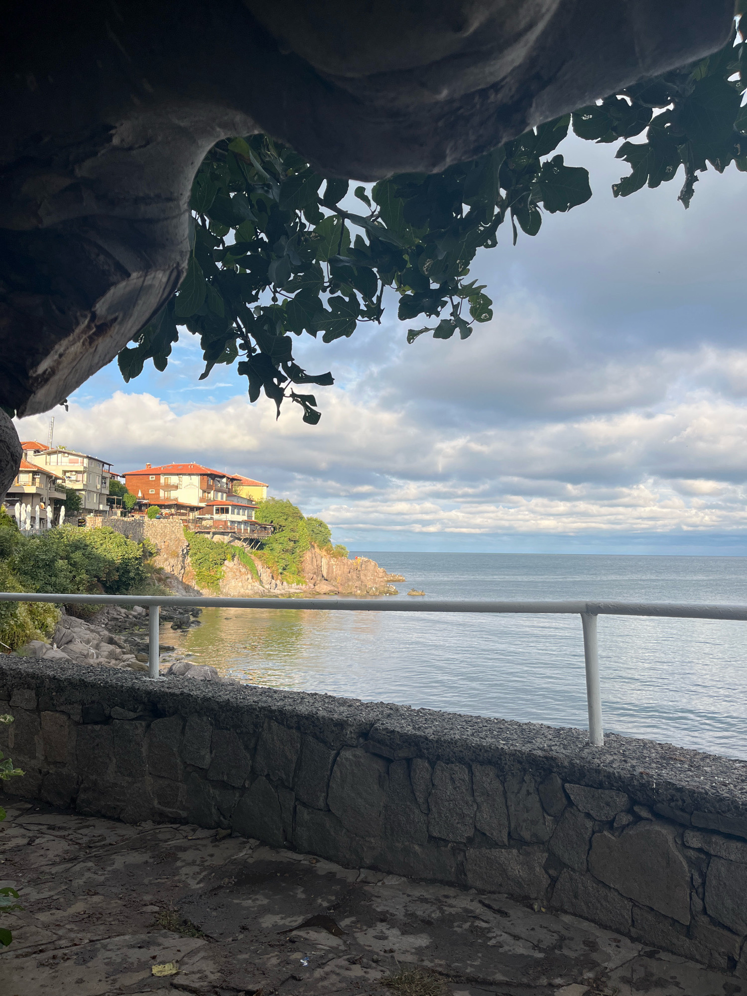 The image depicts a scenic view of the Black Sea coast in Sozopol, Bulgaria. In the foreground, a stone wall forms a terrace overlooking the water, with a white metal railing along its edge. The wall is constructed from rough-hewn, irregularly shaped stones. Beyond the railing, the calm, blue-grey water of the sea stretches to the horizon under a cloudy sky.
On the left side of the frame, lush green vegetation covers the rocky shoreline. A cluster of buildings, characterized by their terracotta roofs and light-colored facades, are perched atop a cliff overlooking the sea. These structures appear to be houses or small hotels, with balconies and windows visible.
Framing the top of the image is a dark, organic shape that resembles a large tree branch or overhang, with dark green leaves scattered across it. The overall impression is one of a peaceful coastal setting with traditional architecture. The time of day appears to be late afternoon or early evening, given the soft, diffused light. No people are visible in the scene.