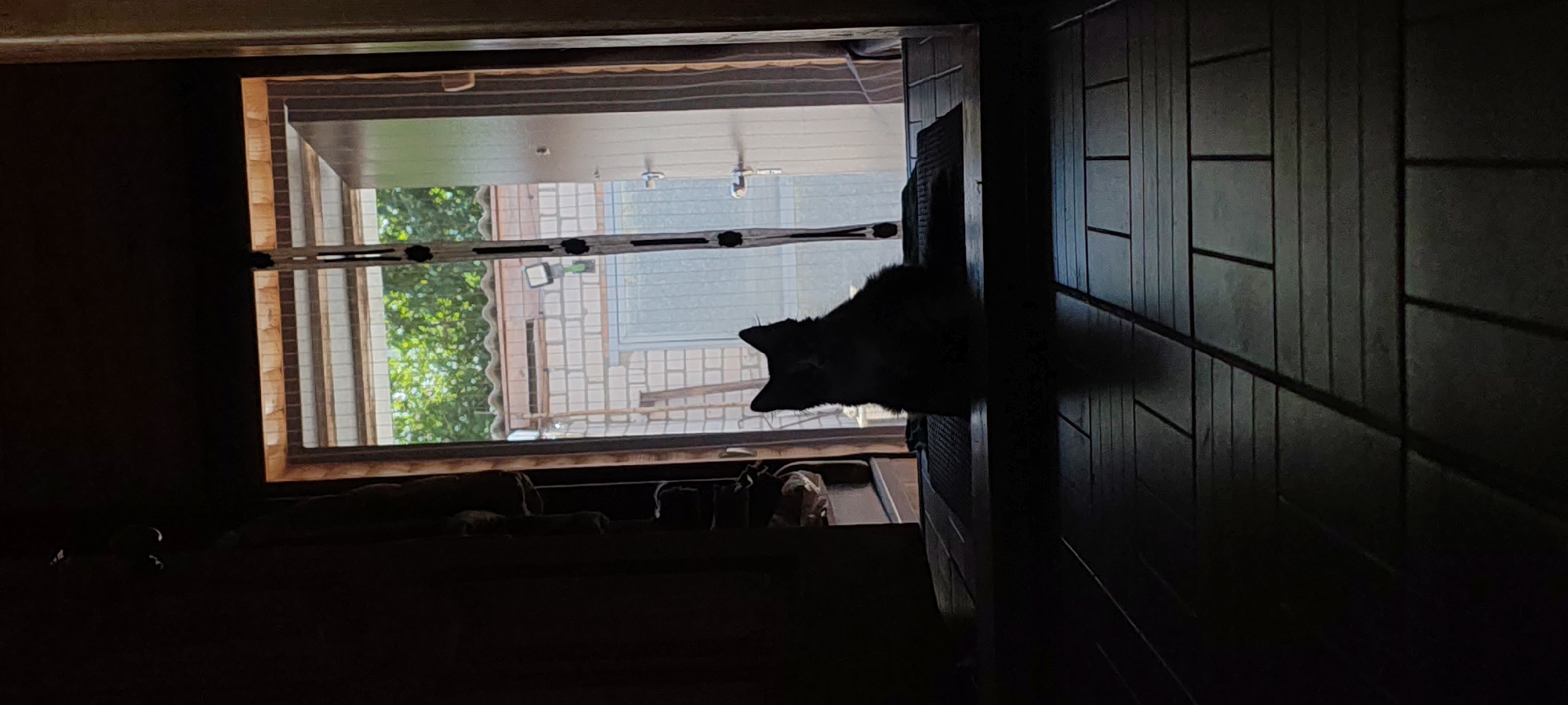 A black cat with white markings on its face sits in silhouette on a dark doormat in front of an open doorway. The doorway opens to an outdoor area with a brick wall and a pitched roof. The foreground is dominated by a dark, tiled floor. The lighting is low, creating a strong contrast between the dark interior and the brighter exterior. The scene appears to be a residential entrance.