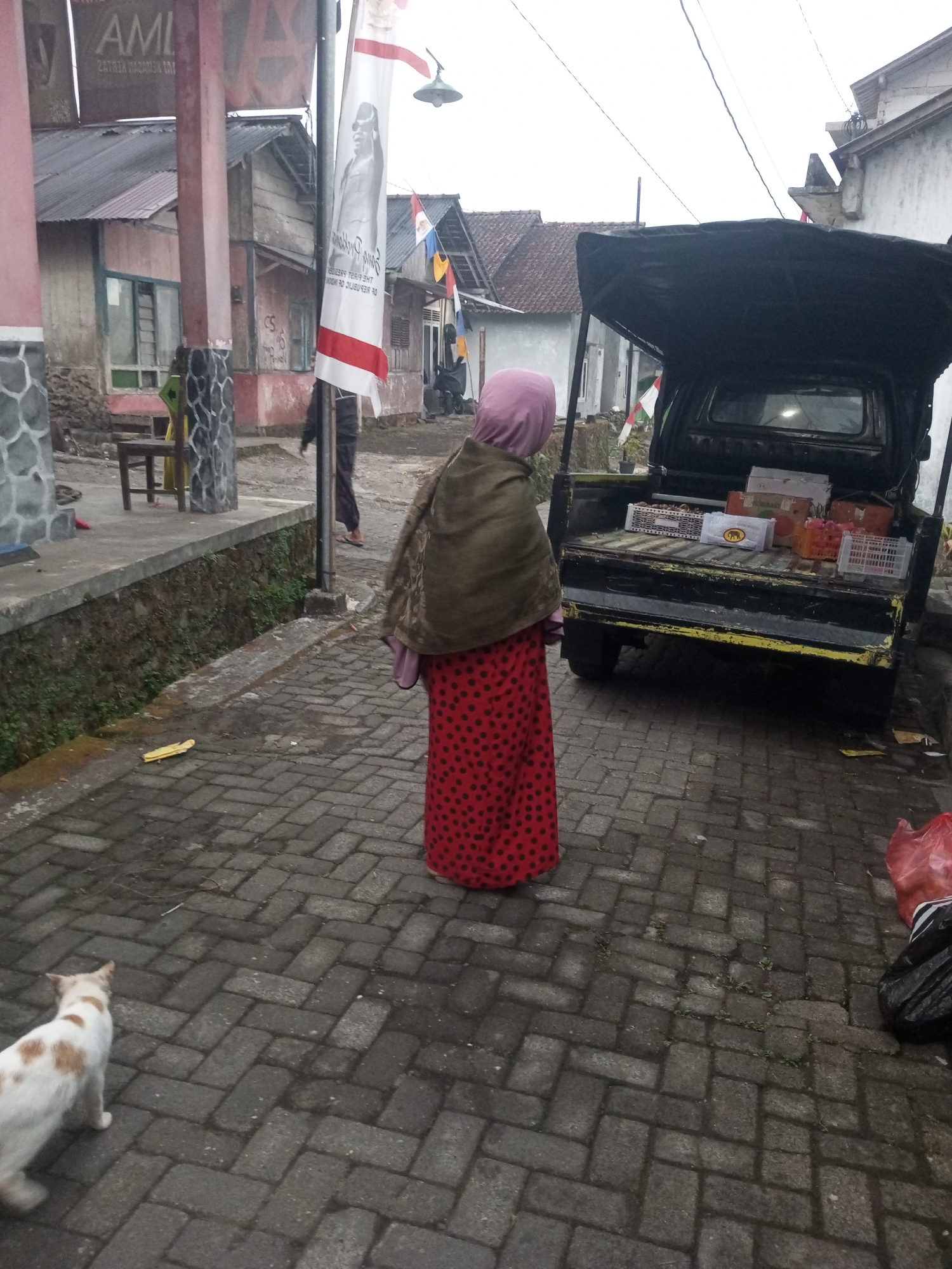 In Andongsili, Indonesia, an outdoor scene unfolds on a brick-paved walkway. A person wearing a pink headscarf and a red and black polka dot dress stands facing a black pickup truck laden with boxes. The truck's bed contains several plastic crates filled with goods, suggesting a market or delivery setting. To the left, a white and orange cat walks on the pavement. In the background, a building with a corrugated metal roof and light-colored walls is visible, along with a flagpole displaying a banner. The sky is overcast, contributing to the muted lighting of the scene.