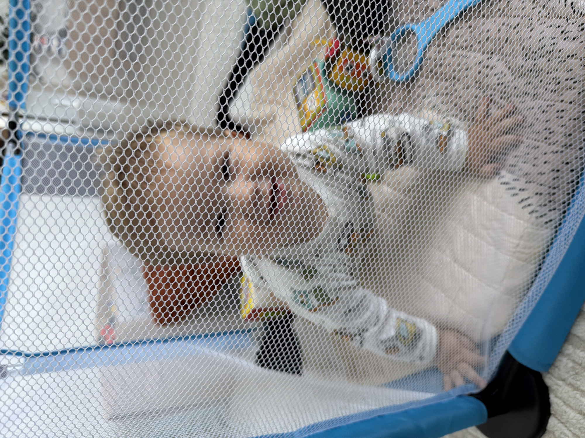 The image shows a young child, likely a toddler, inside a mesh playpen. The child is wearing a long-sleeved shirt with a pattern and appears to be looking towards the right side of the frame with their mouth open. The playpen has blue accents and black bases. Behind the child, there are some colorful toys. The scene appears to be indoors, with a light-colored floor or rug visible beneath the playpen. The image is taken from outside the playpen, looking through the mesh. There is no discernible information in the image to suggest a specific location in Kazan, Russia.
