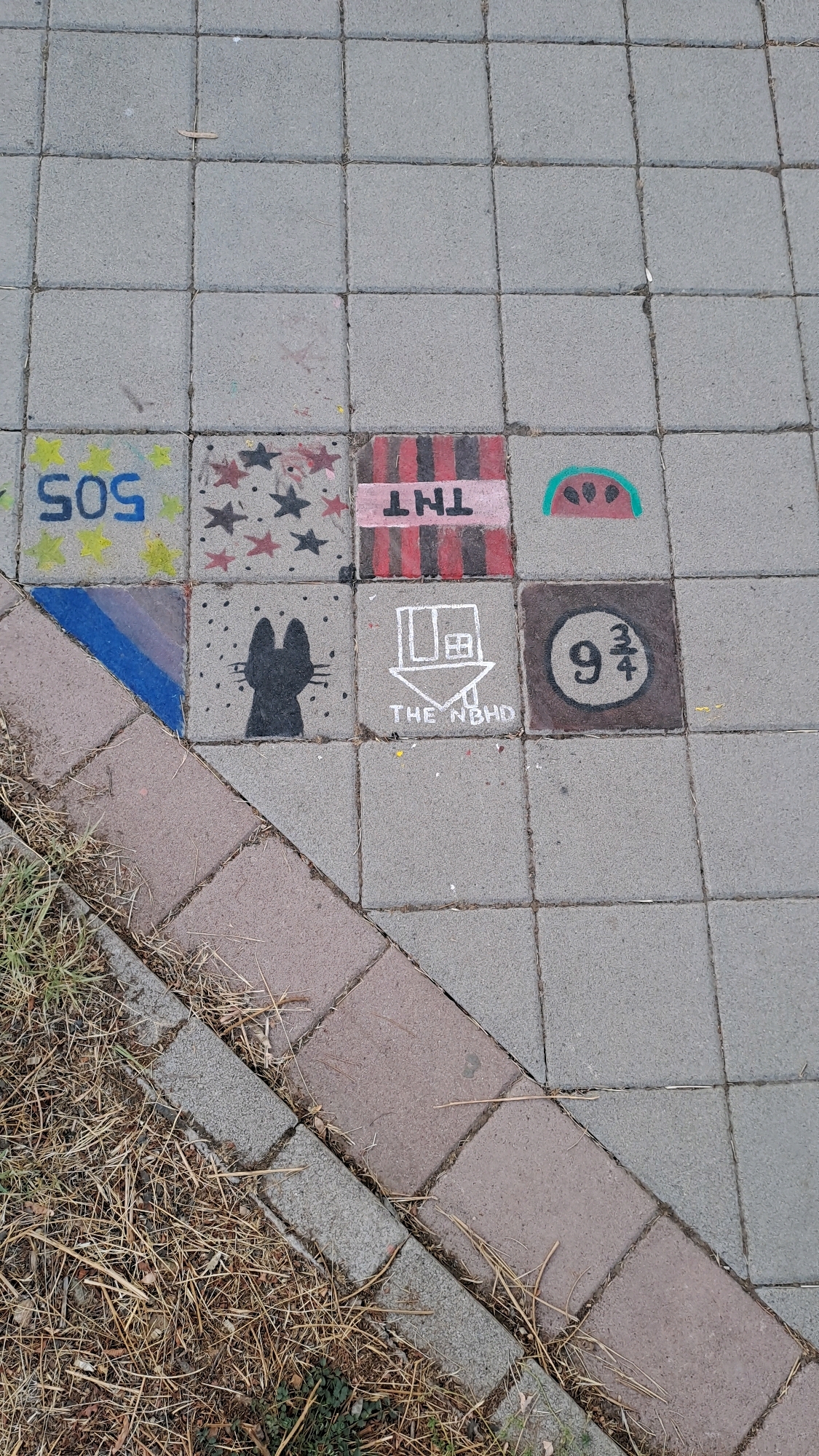 An overhead medium shot captures a section of a sidewalk paved with interlocking concrete squares, interspersed with some reddish-brown pavers. The concrete squares are decorated with various chalk drawings. In the top row, starting from the left, one square displays the number "505" in blue, another has red and black stars, a third shows a pink rectangle with black stripes and the word "TNT" in black, and the last depicts a simplified green watermelon slice. The second row, from the left, features a blue and black diagonal stripe, a black silhouette of a cat with speckles around it, a white outline of a house with the text "THE NBHD" below it, and a dark brown square with the number "9¾" in white. The sidewalk transitions to a grassy area with dried grass and twigs along the bottom left edge of the frame.
