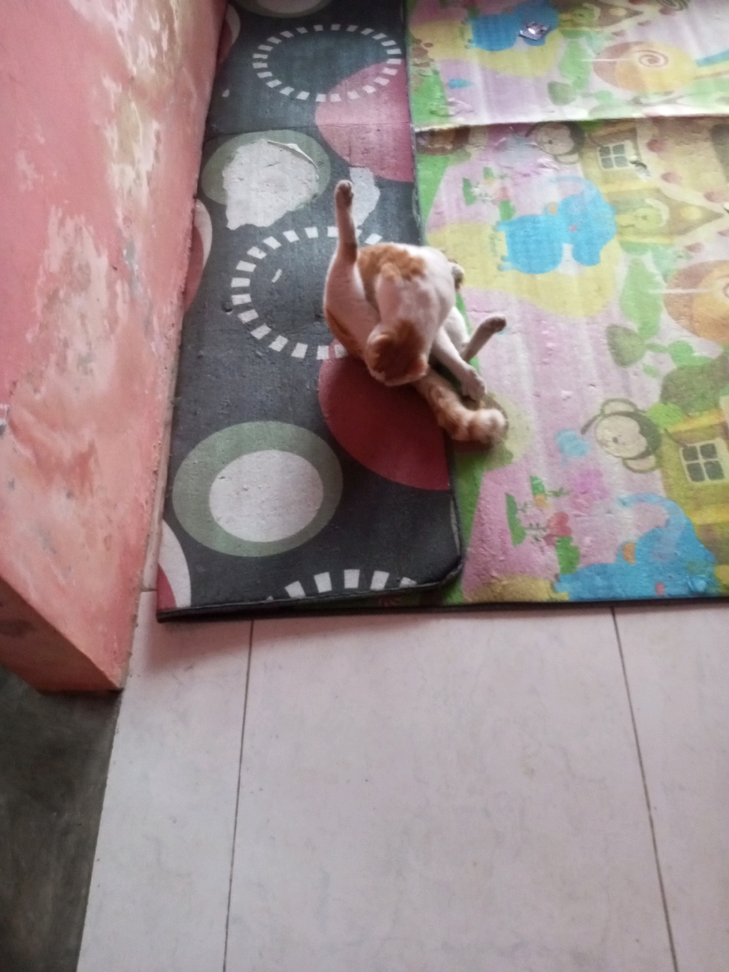 In Kalibebe, Indonesia, a ginger and white cat is seen lounging on its back on a mat with a black and white circular pattern. The cat's paws are in the air. To the right of this mat is another mat with colorful cartoon drawings of animals and objects. The scene appears to be indoors, possibly in a home, given the presence of mats on a tiled floor and a textured pink wall in the background.