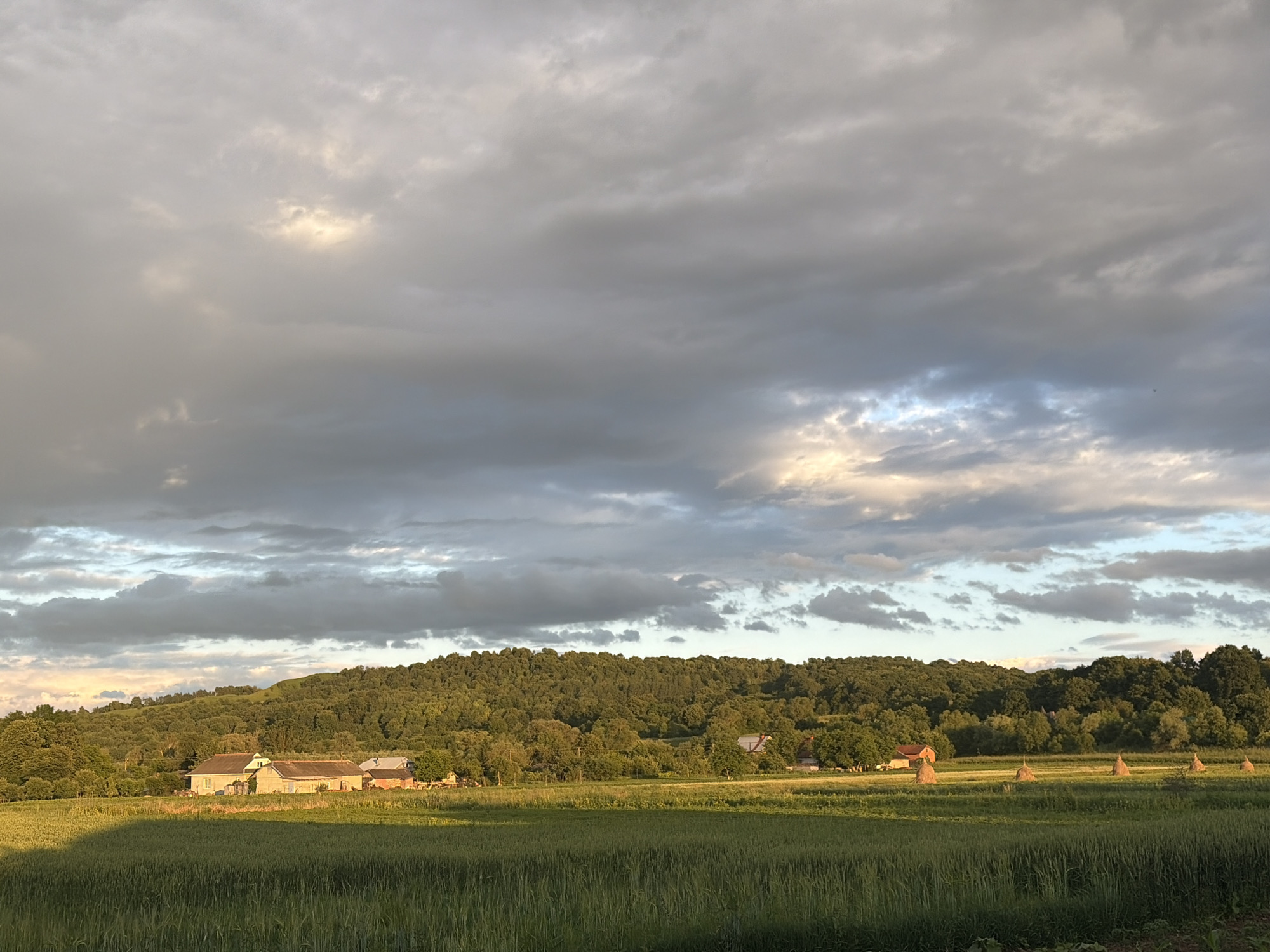 This is a landscape photograph taken in the city of Hanniv, Ukraine. The image depicts a rural scene with a field of green crops in the foreground. In the middle ground, several farm buildings are visible, including houses and barns. Behind the farm buildings, a dense forest covers a rolling hill. The sky is filled with dramatic clouds, with patches of sunlight breaking through, indicating either sunrise or sunset. The lighting suggests a warm, golden hour. There are no people or animals visible in the image. Several haystacks are scattered across the field to the right of the frame.