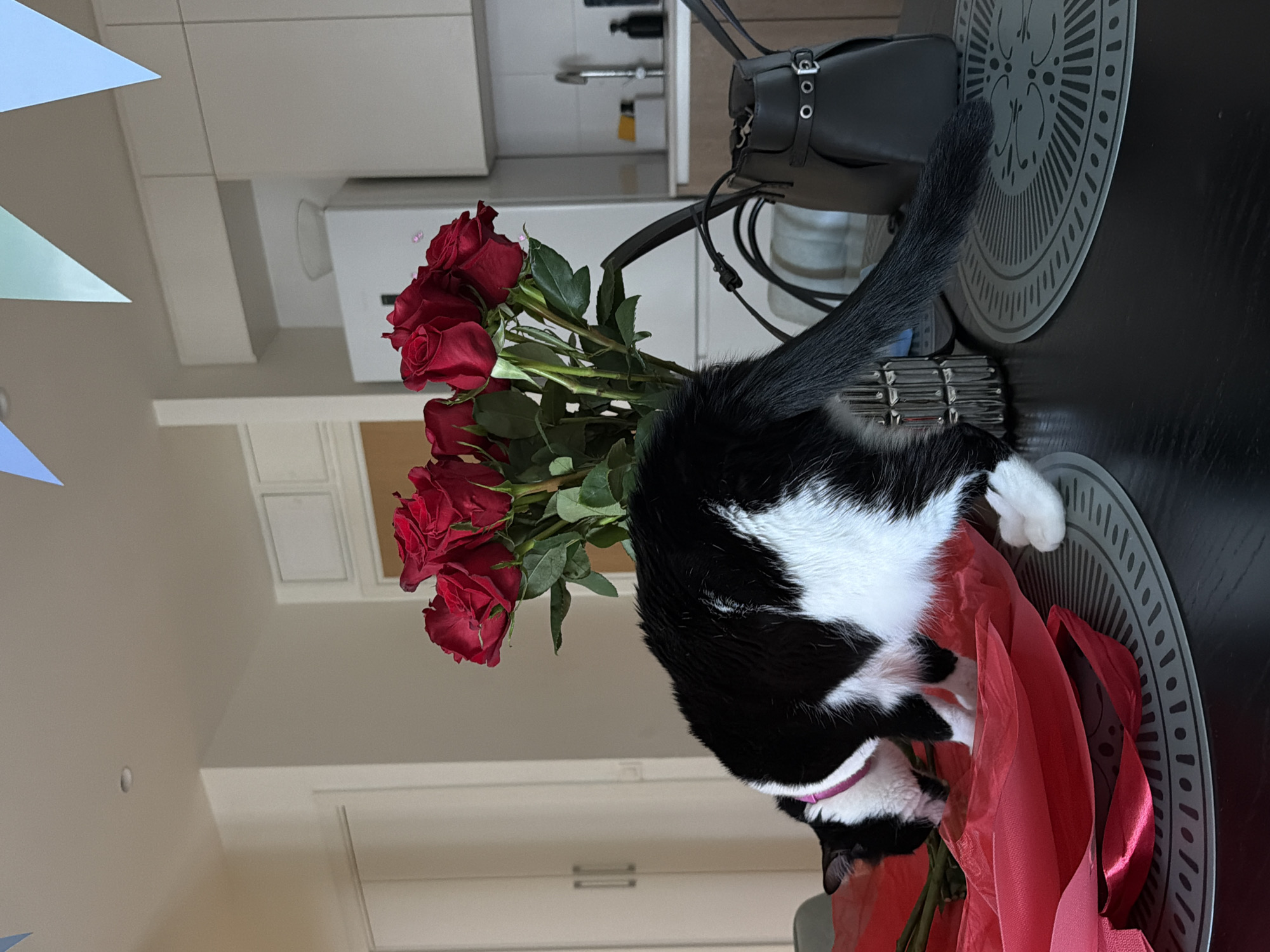A black and white cat is partially visible in the center of the image, lying amongst a bouquet of red roses and red wrapping paper. The flowers are in a vase which sits on a black table with decorative glass mats beneath. A black purse is partially visible on the table next to the flowers. The background shows a white kitchen with cabinets and appliances. The location is assumed to be indoors in Belgrade, Serbia, as that information was part of the prompt. There are no people visible.