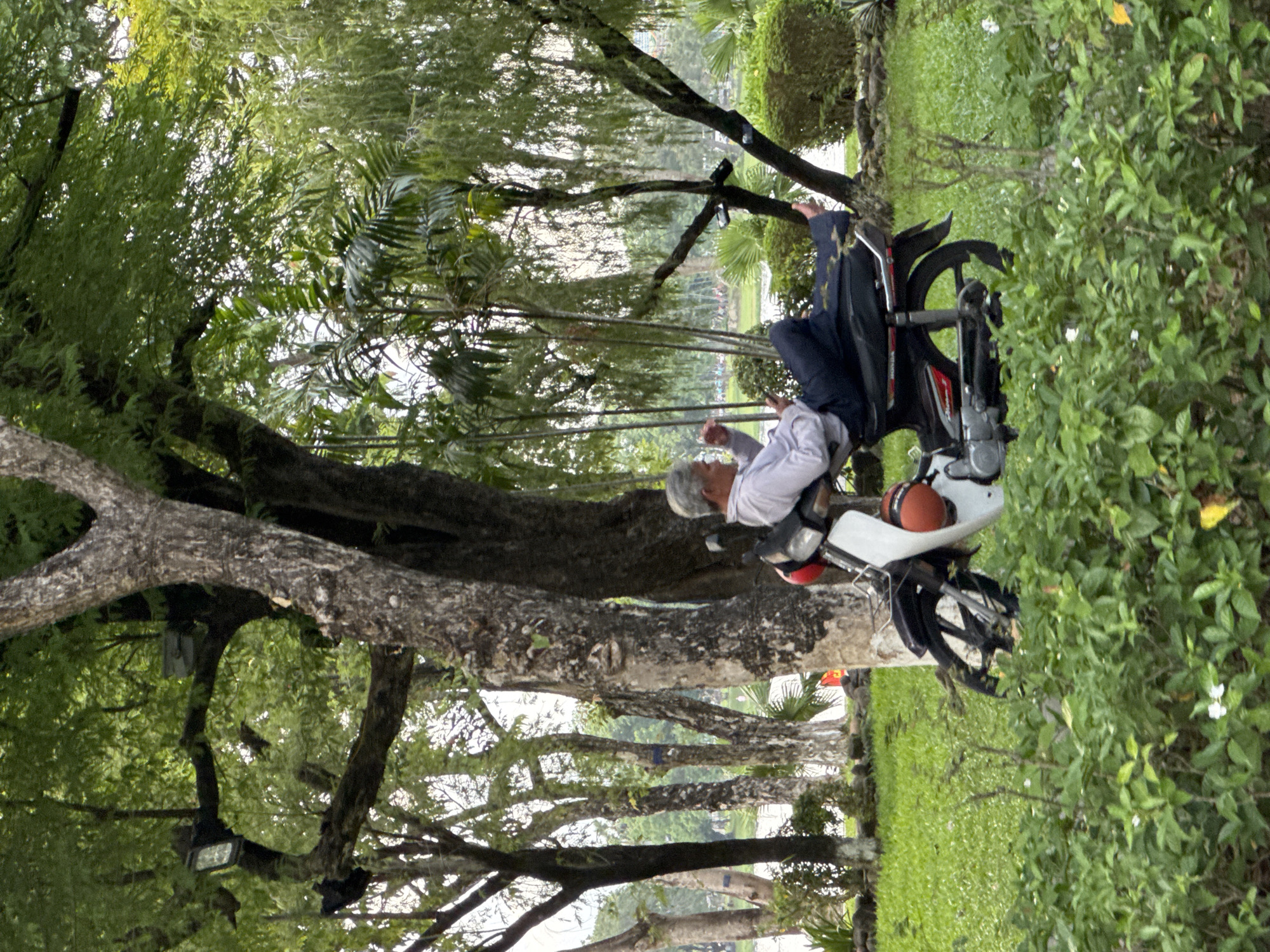 The image depicts a man seated on a white and black motorcycle parked on a grassy area near a body of water. The man, who has gray hair and is wearing a light-colored shirt and dark pants, is looking down at what appears to be a mobile phone in his hand. His legs are extended, and his right foot is resting on the ground. The motorcycle has a red accessory attached to its front. The background features lush greenery, including trees and bushes, and a hint of distant buildings. The scene suggests a relaxed moment in a park-like setting, possibly within Thuận Hóa Ward, Vietnam, given the presence of water and dense vegetation common in such locations.