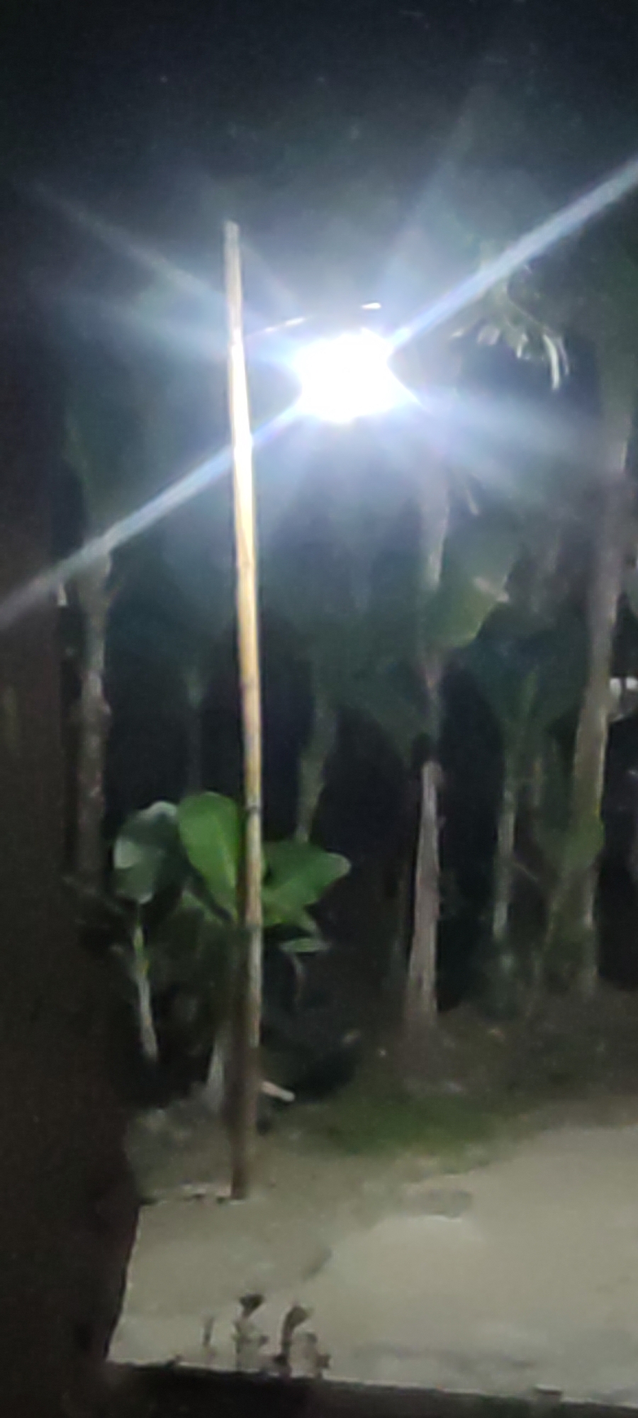 The image depicts a night scene outdoors, illuminated by a bright light source, likely a street lamp, positioned in the upper center of the frame. A tall, slender pole, possibly made of bamboo, extends vertically through the center of the image, supporting the light. Surrounding the light and pole are dark silhouettes of trees and foliage, suggesting a natural or semi-natural environment. In the foreground, a patch of light-colored ground is visible, with some indistinct shapes that could be small objects or debris. The overall impression is one of a rural or suburban outdoor area at night, with artificial lighting providing visibility. The reference to Karangwangun, Indonesia, suggests a specific location context for this scene.