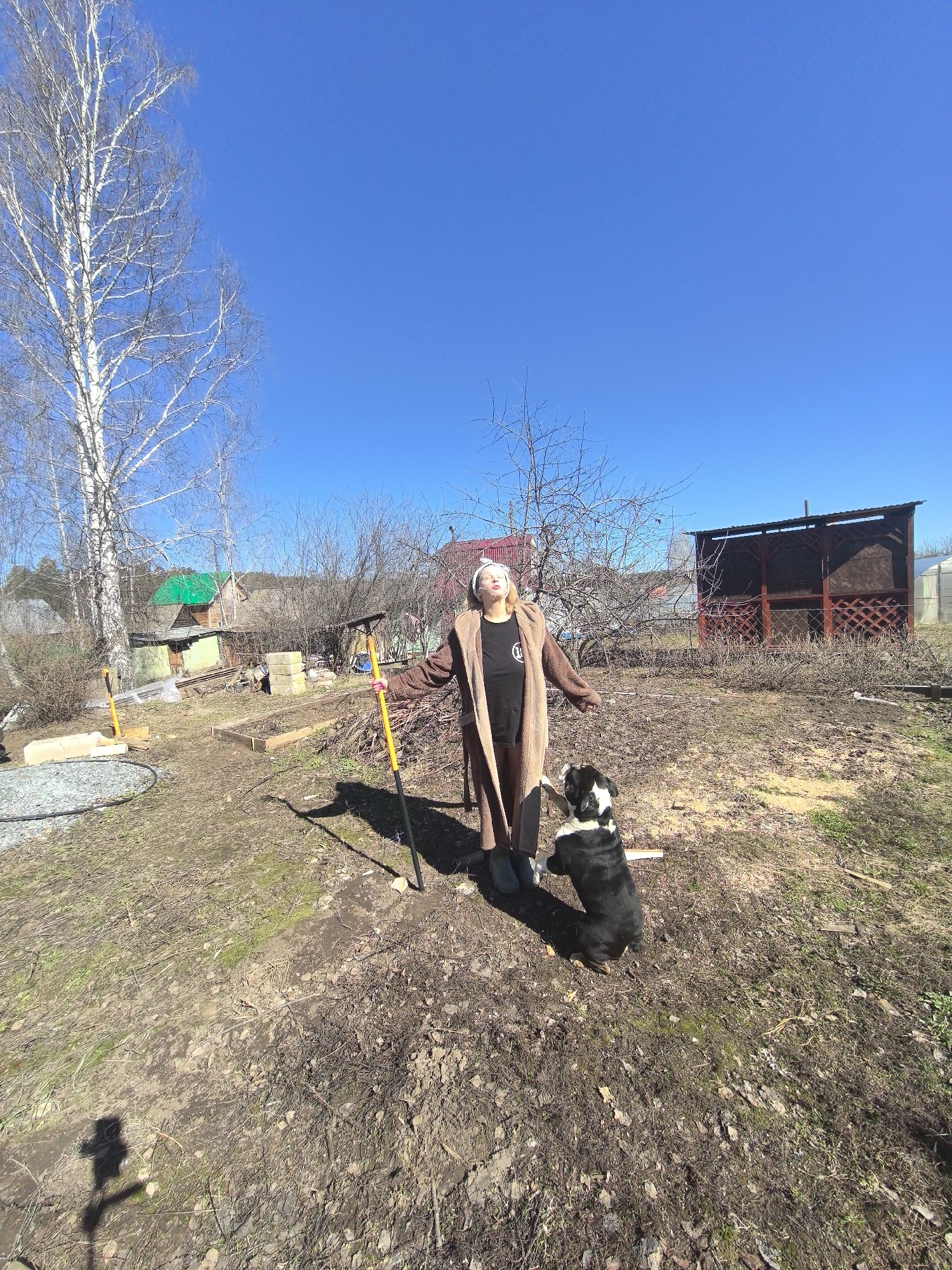In Noviy, Russia, on a clear, sunny day, an elderly woman stands in a yard with a dog. She wears a long brown cardigan over a black t-shirt and dark pants, with a white covering on her head. A shovel rests next to her. The black and white dog stands on its hind legs, paws touching the woman. The yard is barren, with patches of dry grass and leaves. In the background are small buildings, including a shed with a green roof and a gazebo. A birch tree with bare branches is visible to the left. The sky is clear blue.