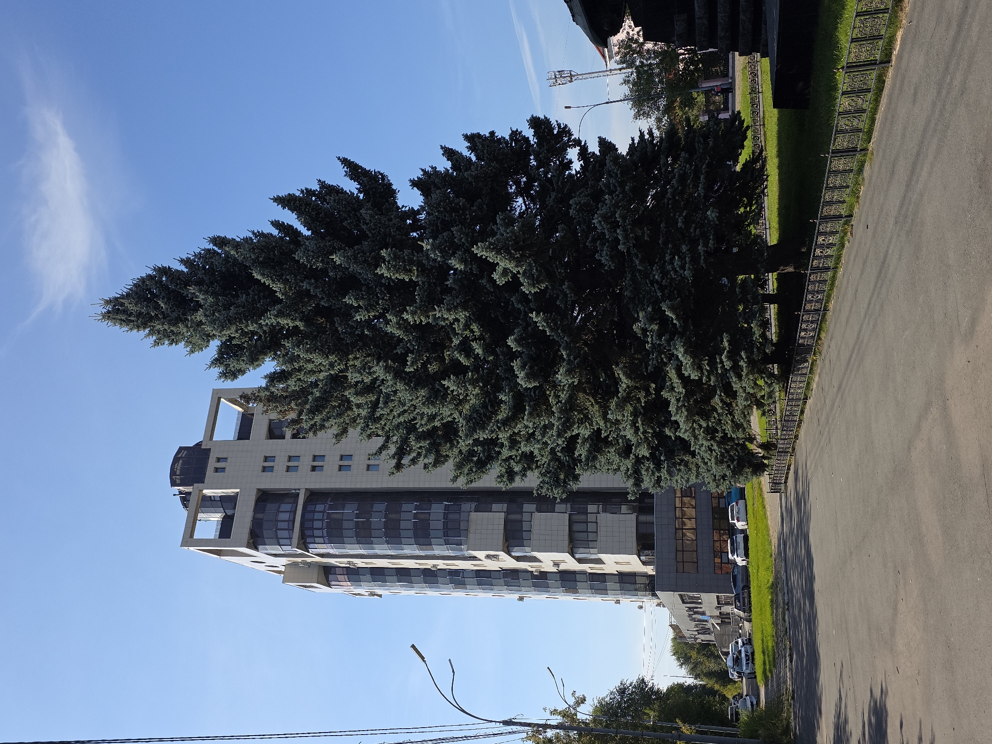 The image depicts a tall, modern, multi-story building with a light-colored facade and numerous glass-paneled sections and balconies. In front of the building stands a large, mature evergreen tree, its branches densely packed. A paved walkway or road is visible in the foreground, with a decorative metal fence bordering a grassy area to the right. Several cars are parked on the grass in front of a lower section of the building. The sky is clear and blue with a few wispy clouds. The scene appears to be a street in the city of Chelyabinsk, Russia.
