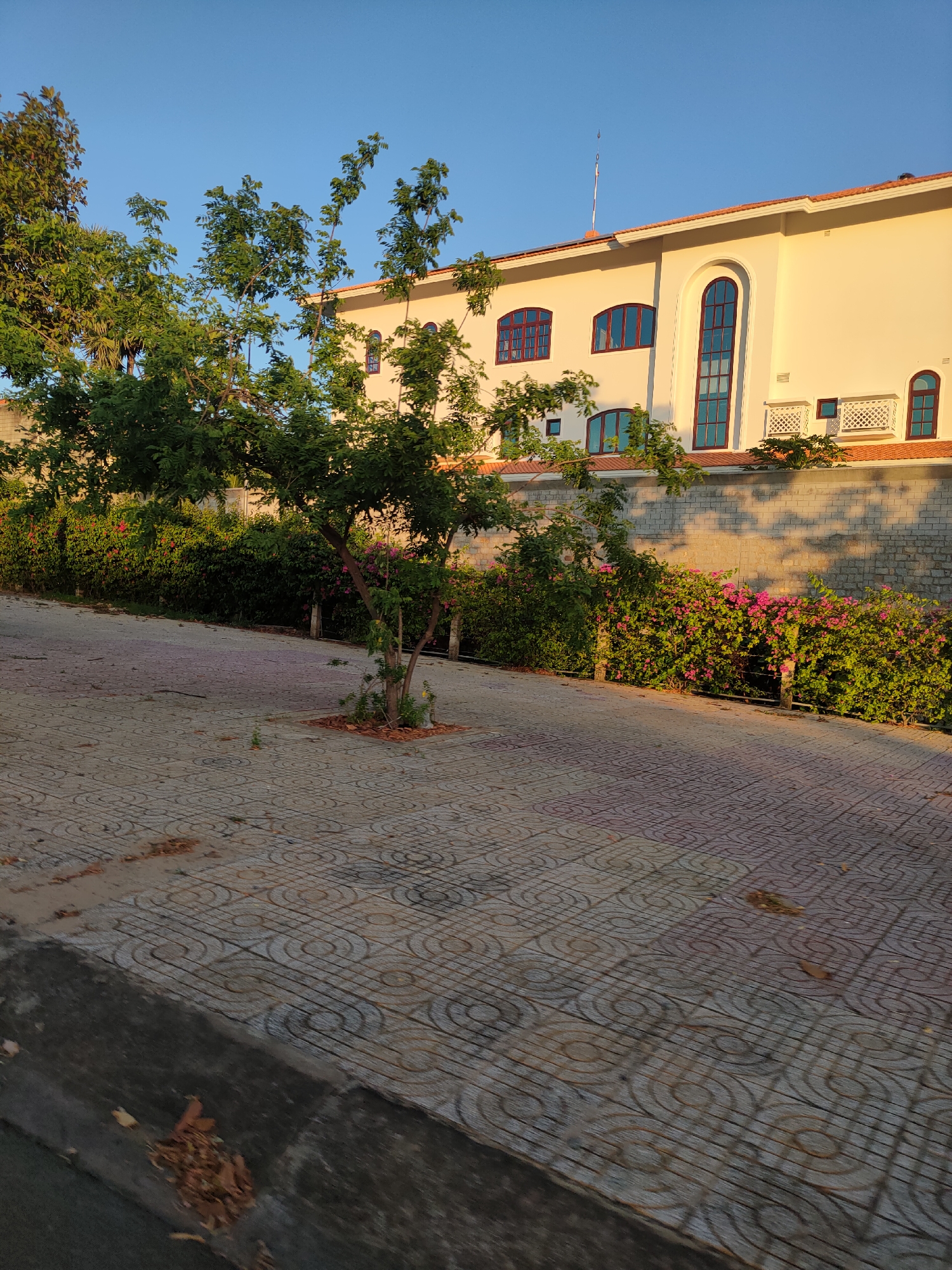 A wide-angle outdoor shot shows a paved walkway in front of a building. The walkway is made of square tiles with a circular pattern. There is a small tree in the middle of the walkway and a hedge with pink flowers on the right side. The building in the background is a light color with a red roof and several arched windows. The sky is clear and blue. The image appears to be taken in Phu Thuy Ward, Vietnam.