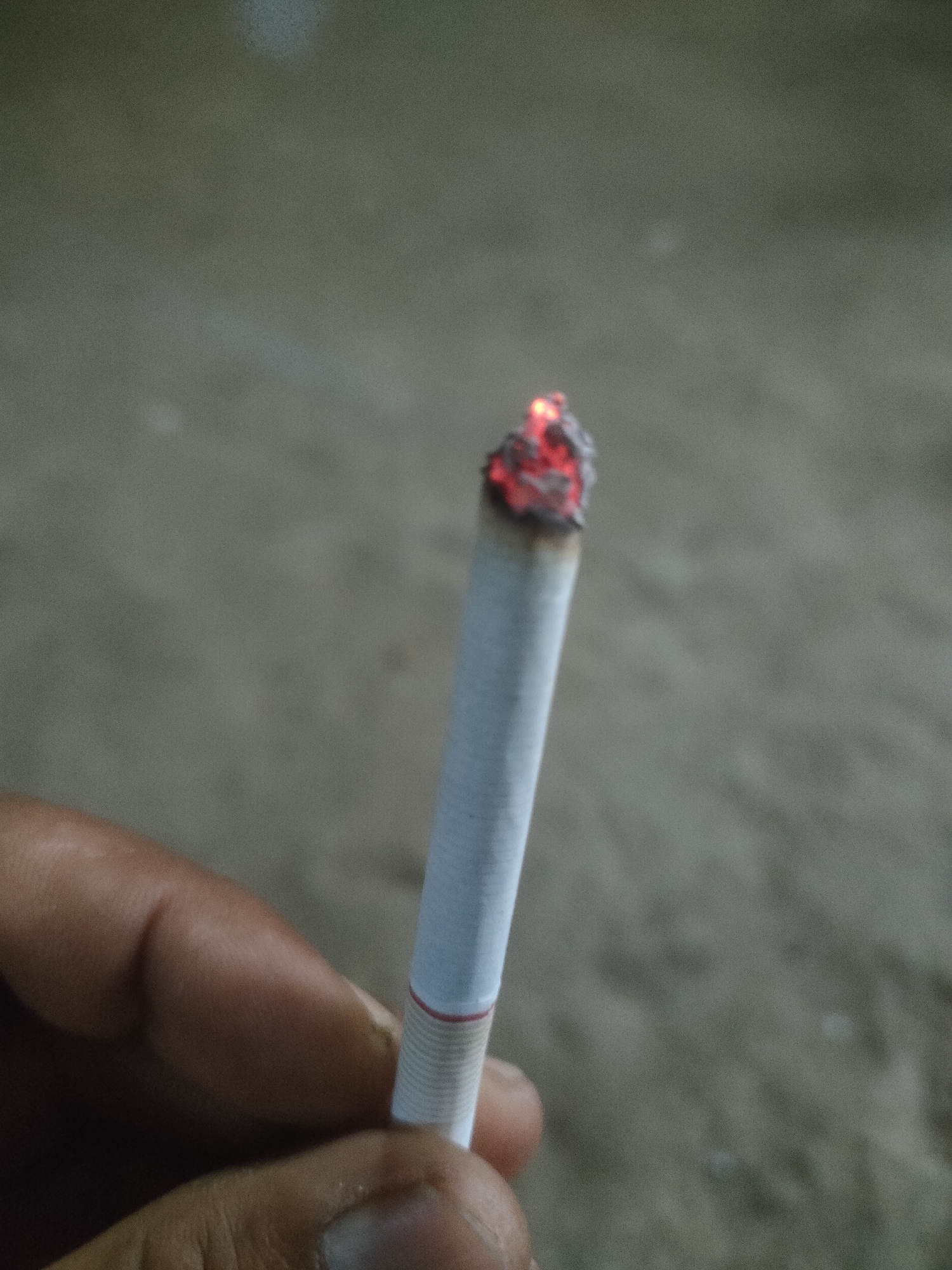 A close-up shot shows a hand holding a lit cigarette against a blurred background. The cigarette is white with red and gold bands near the filter. The tip of the cigarette is glowing red and appears to be smoldering, with some ash visible. The hand is holding the cigarette between the thumb and index finger. The background is out of focus and appears to be a neutral, textured surface, possibly concrete or dirt. There is no indication of the specific location within Padang Dalom, Indonesia, as the image focuses solely on the cigarette and hand.