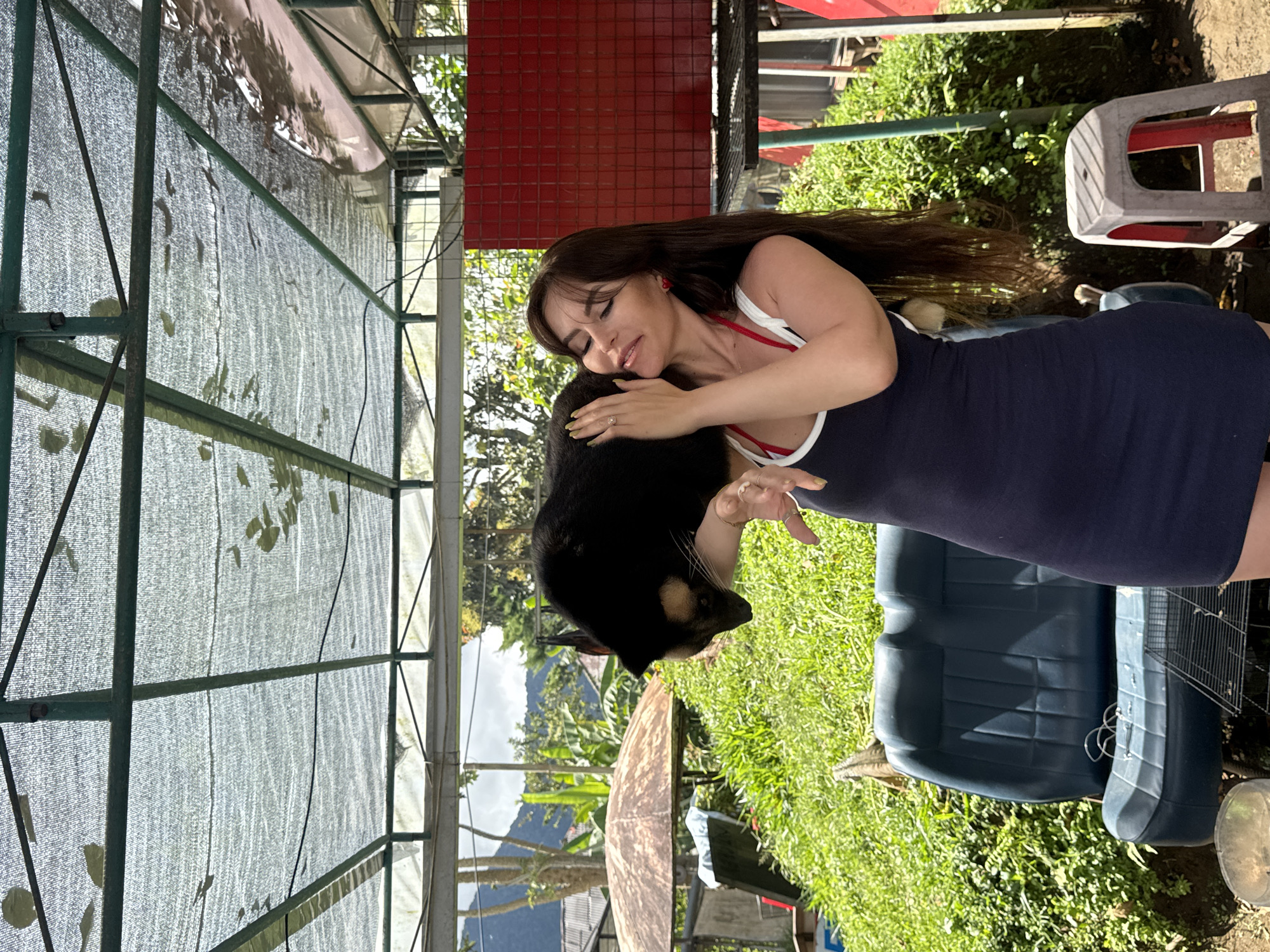 The image captures a woman embracing a bearcat. The woman has long, dark hair and wears a navy blue dress with white and red trim. She appears to be leaning into the bearcat, with her eyes closed. The bearcat is primarily black with lighter markings on its face and chest.
The background reveals a somewhat cluttered outdoor setting. A greenhouse-like structure with a mesh roof is visible to the left. There is a red tiled wall and a white and red plastic stool in the background. Behind the woman, there are two large blue storage bins and wire cages.
The image was taken in Baturiti, Indonesia. The natural landscape, including a mountain range, is visible in the distance. The immediate surrounding area appears to be grassy and somewhat overgrown.