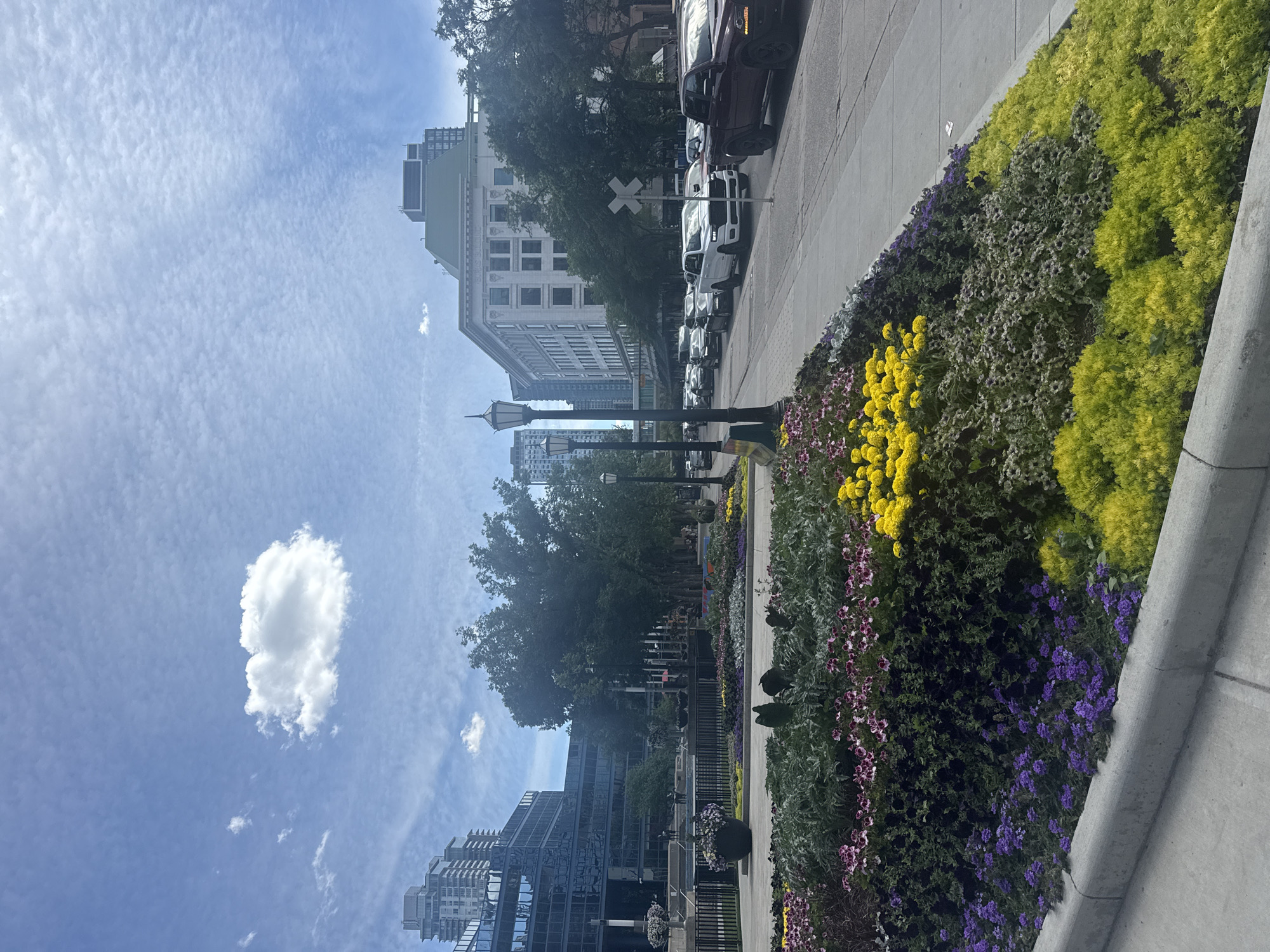 The image depicts a street scene in Calgary, Canada, likely during daytime given the bright lighting and blue sky with scattered clouds. The foreground is dominated by a vibrant flower bed featuring a variety of colorful blooms, including purple, pink, yellow, and green foliage. Beyond the flower bed, a sidewalk runs alongside a street where several vehicles are lined up, suggesting moderate traffic.
In the background, modern and older buildings of varying heights are visible, characteristic of a city skyline. Trees are interspersed throughout the urban landscape, adding a touch of nature. Street lamps are also present, indicating public lighting infrastructure. A railway crossing sign is visible on the right side of the street, suggesting a possible intersection with train tracks.
The overall impression is that of a well-maintained urban environment with green spaces integrated into the city's infrastructure.