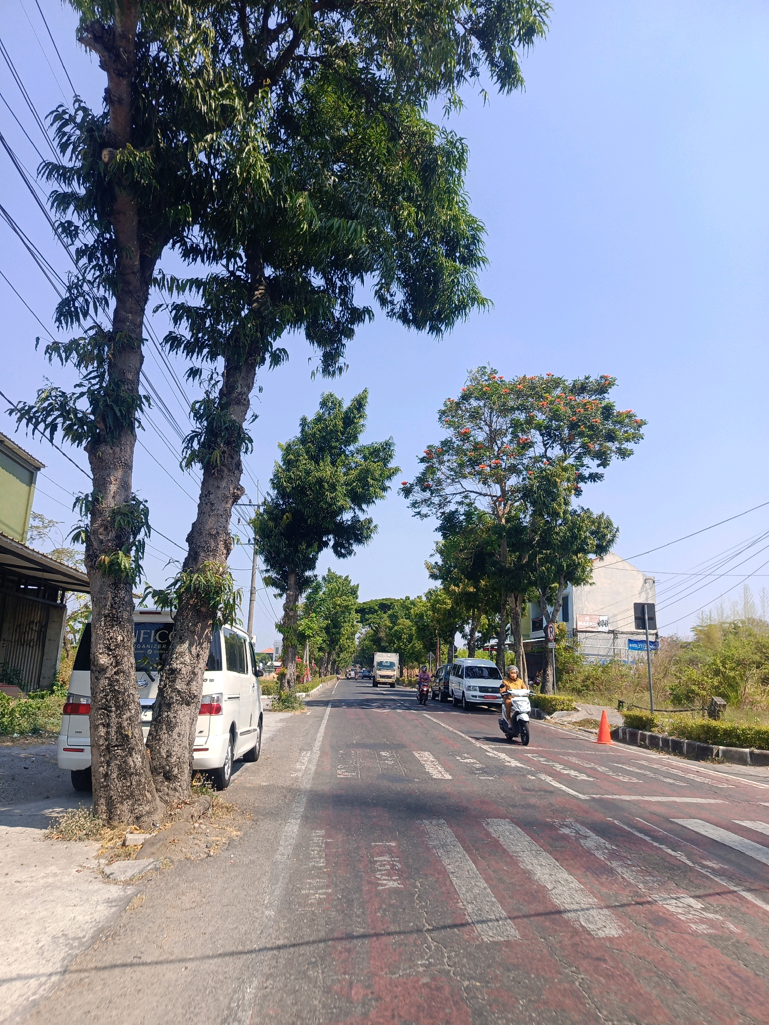 The image depicts a street scene in Tambran, Indonesia, under a clear blue sky. The foreground shows a road with a red and white striped pedestrian crossing. A person on a white scooter wearing a yellow helmet is riding across the crossing. To the left of the road, two large trees with thick trunks and green foliage stand prominently. A white van is parked on the side of the road next to the trees.
Further down the road, traffic is visible, including several cars and motorcycles. More trees line the sides of the road, creating a tree-lined avenue. A building with white walls is visible in the mid-ground on the right side of the road, and further in the distance, more buildings and vegetation can be seen. Electrical wires are strung across the sky, supported by poles. The overall impression is that of a sunny day in a moderately busy urban or suburban area.