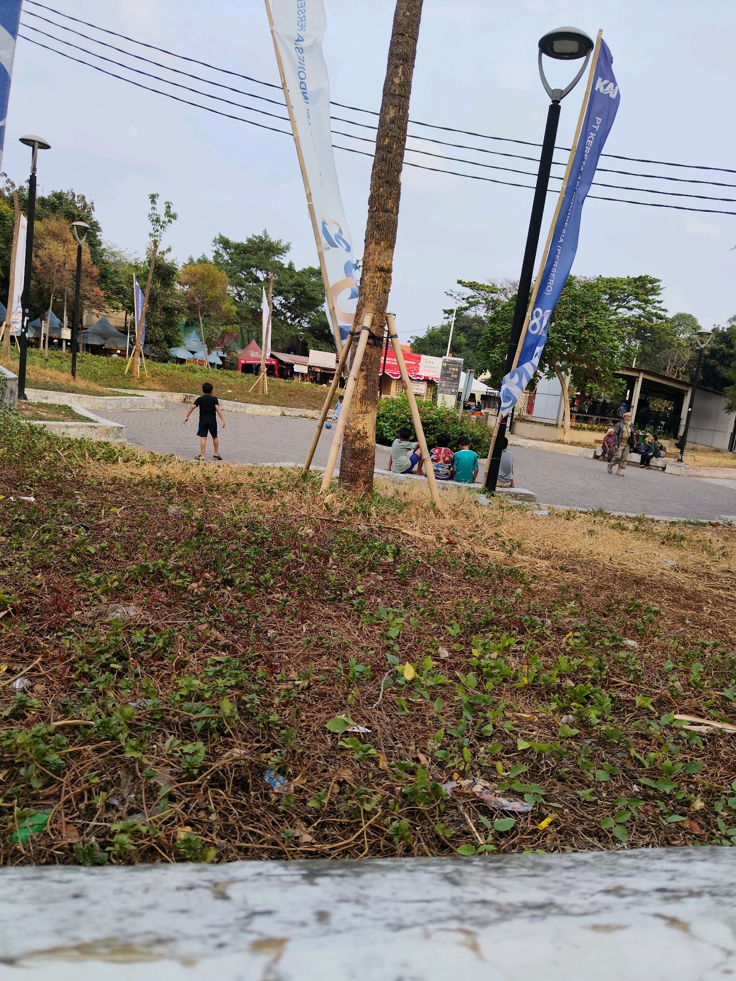The image depicts an outdoor scene at Taman Suropati, a public park in South Jakarta, Indonesia. The foreground is dominated by dry, brown vegetation with some sparse green leaves, and a concrete ledge. In the midground, a paved area transitions into a grassy slope. Several people are visible in the midground, including a young boy in a black t-shirt and shorts standing on the paved area, facing away from the camera. Further back, a group of people are seated on a low wall along the paved area, and another group is standing near a covered structure that appears to be a food stall.
In the background, trees and foliage are abundant, suggesting a park environment. Several large, white and blue flags or banners are prominently displayed, attached to bamboo poles. One blue flag features the logo of "KAI" (Kereta Api Indonesia), the Indonesian state-owned railway company, and text including "PT KERETA API INDONESIA (PERSERO)" and "81". Two white flags are also visible, one with text that appears to be in Indonesian. Two streetlights are present, one tall black lamp post with a modern fixture, and another shorter one further in the background. Overhead, power lines are strung across the sky. The overall impression is a well-maintained public space, likely a gathering spot.