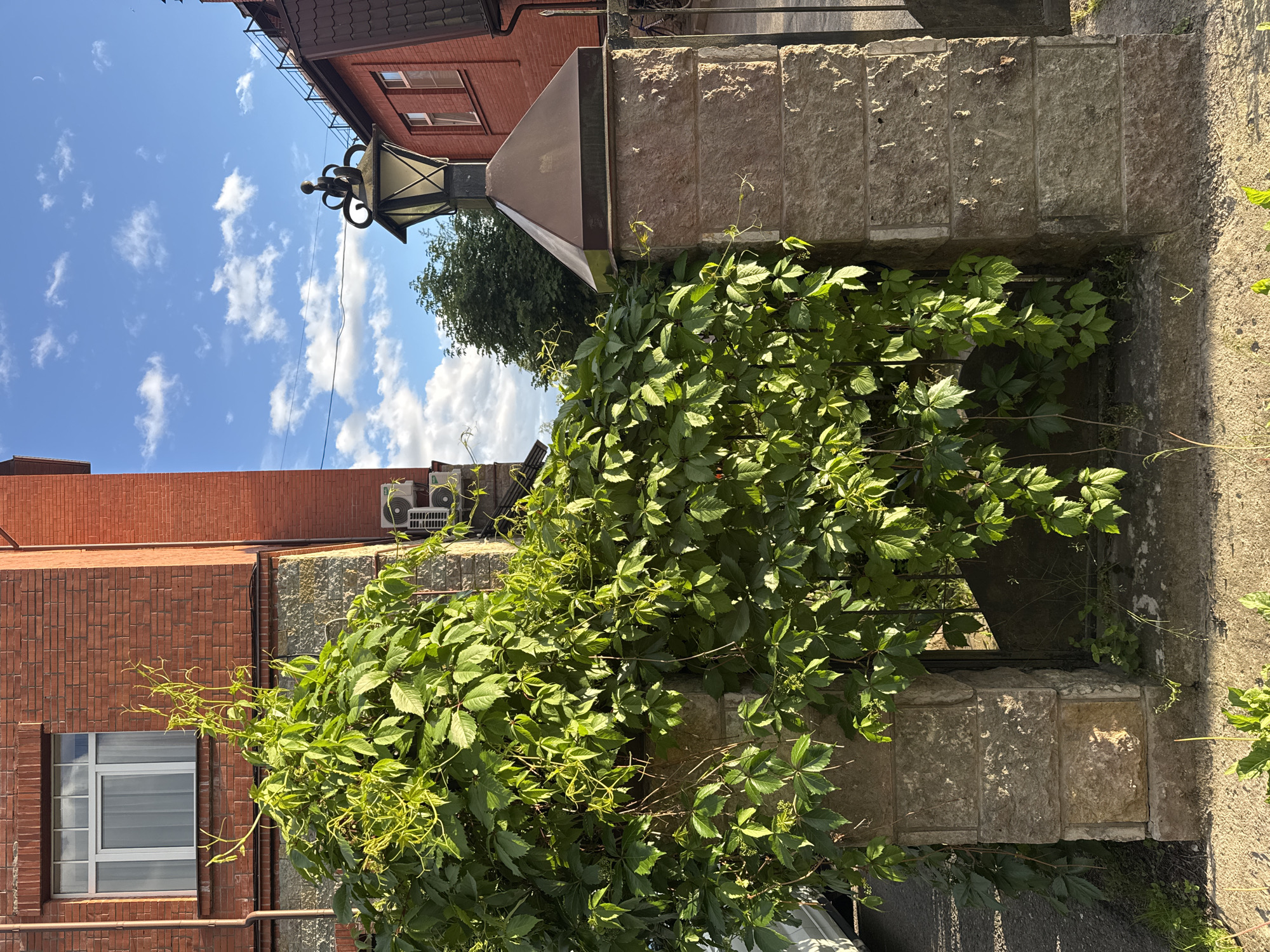 The image shows a stone fence post covered in green ivy, with a decorative black lantern on top. The fence is made of large, rough-hewn stone blocks. Behind the fence, a red brick building with a white-framed window is visible. The sky is blue with scattered white clouds. The scene appears to be outdoors, possibly in a residential area or a park. The image's composition and the architecture of the building suggest it may be located in Saint Petersburg, Russia, though this cannot be definitively confirmed from the image alone. There are no people or animals visible in the image. The lighting indicates it is daytime, with sunlight casting shadows on the stone. The ivy is lush and green, indicating a warm season.