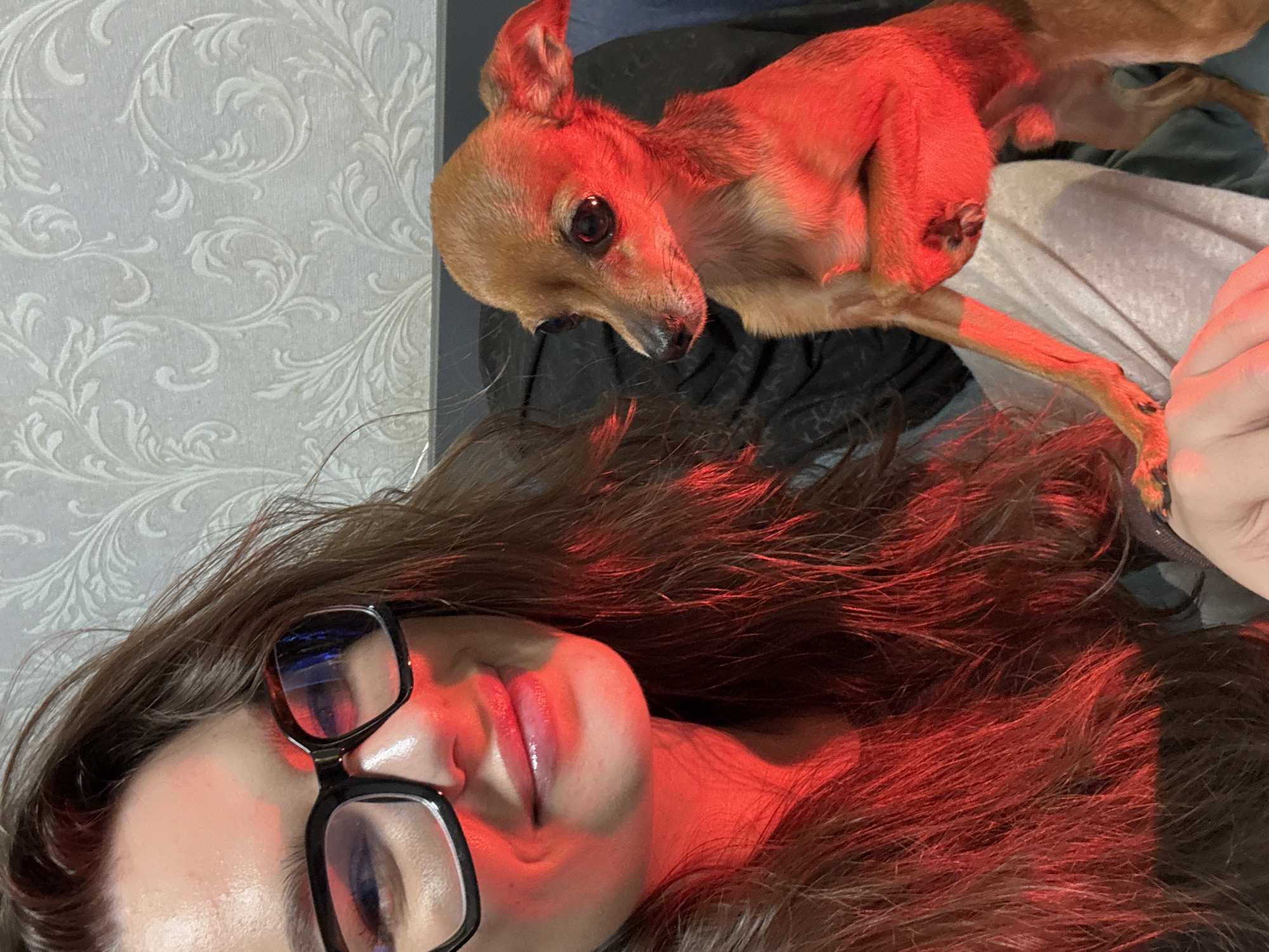 The media file is a close-up, overhead shot of a person lying down with a small, tan dog on their chest. The person, wearing glasses, has their eyes closed and their lips are slightly parted. Their long, dark hair is spread around their face and shoulders, catching the red light. The dog, a possible Chihuahua or similar small breed, is looking towards the camera with a wide-eyed expression, its fur illuminated by a red light source. The background consists of a wall with a textured, ornate floral pattern. The lighting creates a warm, intimate atmosphere, with the red hue dominating the image and casting reflections on the person's glasses. The scene appears to be indoors, possibly a bedroom or living area, given the wallpaper and soft lighting. The image conveys a sense of relaxation or affection between the person and the dog. There is no visible text in the media file. The location is stated as Chaikovsky, Russia.