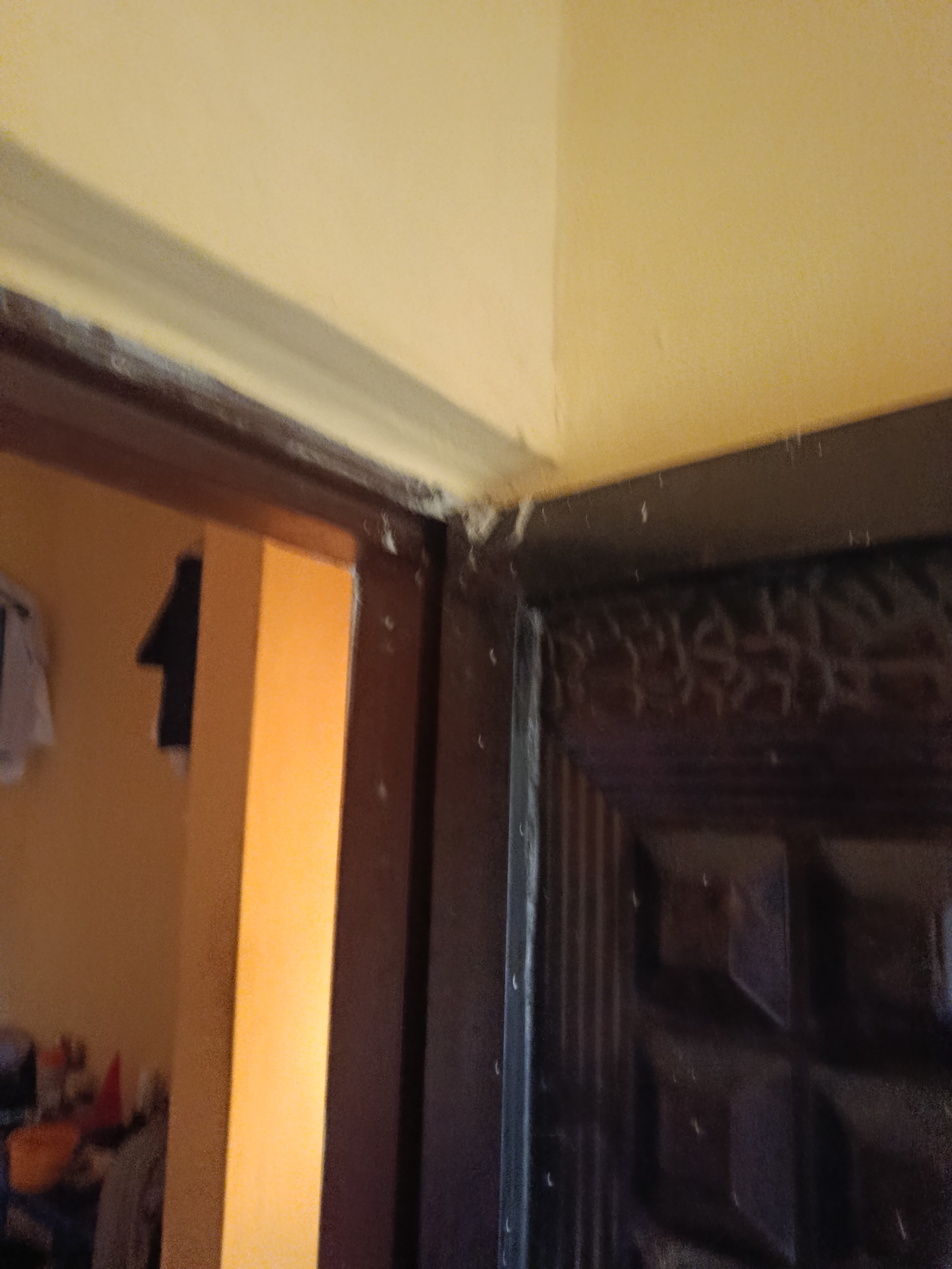 The image shows a close-up view of an interior doorway, focusing on the top corner where two walls meet. The walls are painted a light yellow or cream color. A dark wooden door frame is visible on the right, with a portion of a dark-colored, paneled door also in frame. On the left, the doorway opens into another room with a yellow wall. A dark, possibly black, object hangs on the yellow wall in the adjacent room, appearing to be a piece of clothing or fabric. The ceiling area above the doorway shows a slight accumulation of dust or cobwebs. The lighting is dim, suggesting an indoor environment with ambient light.