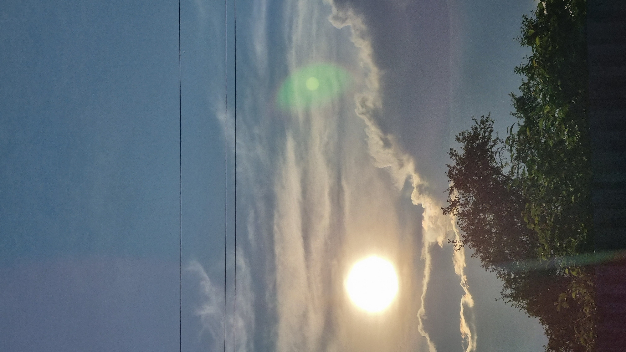 The image depicts a sky with scattered clouds, a bright sun, and silhouetted trees and foliage in the foreground. Three parallel power lines stretch horizontally across the upper portion of the frame. The sun, a prominent white sphere, is positioned in the left half of the image, partially obscured by wispy clouds. A green lens flare is visible in the upper right quadrant of the sky. The trees and bushes are dark silhouettes against the brighter sky, with some green foliage visible at the bottom. A dark horizontal line, likely a fence or structure, runs along the bottom edge of the image. The overall impression is of an outdoor scene, possibly taken at sunset or sunrise, with a slight atmospheric haze. The scene is located in the city of Vysokoe, Russia.