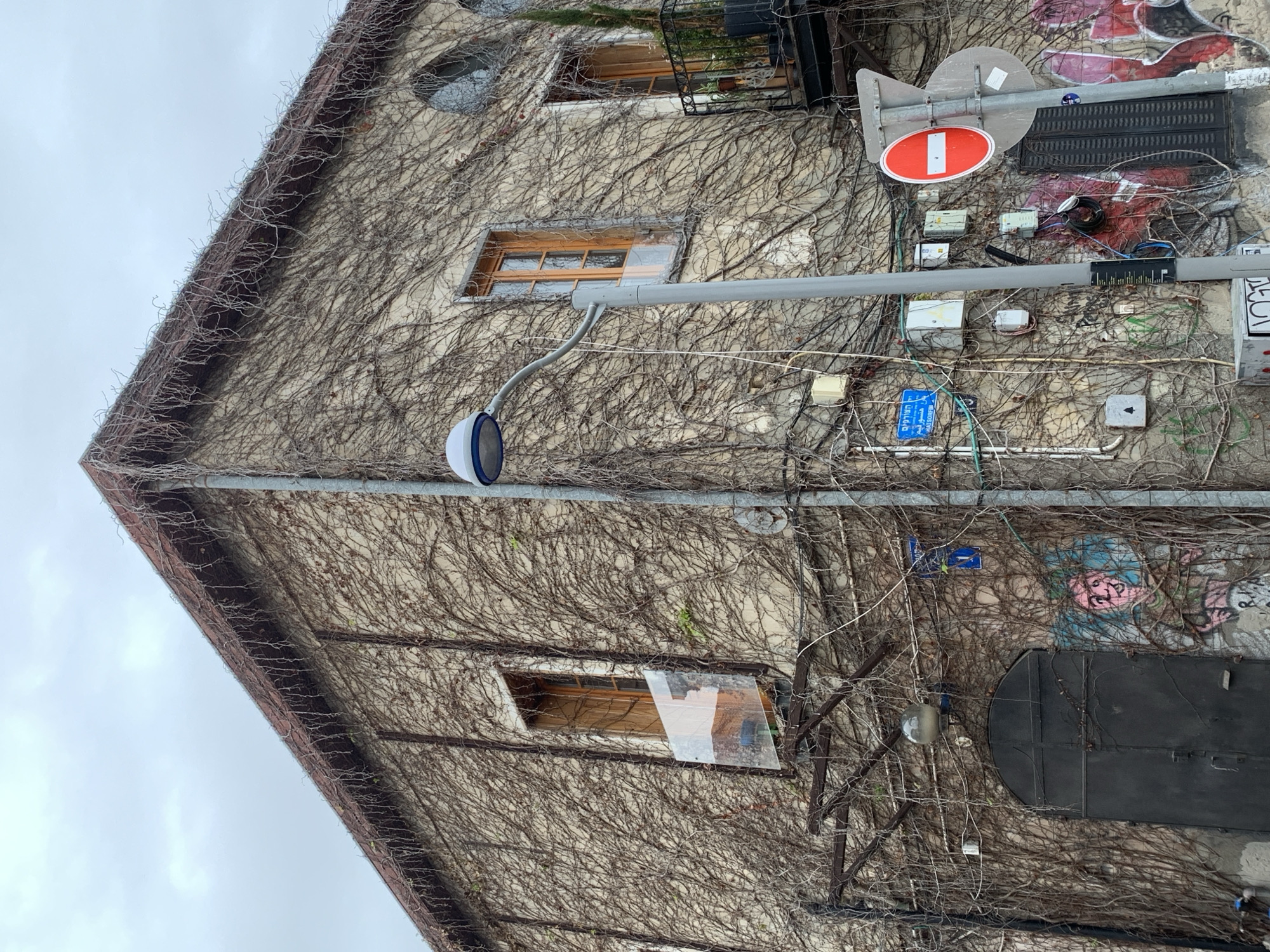 The image shows a building facade heavily covered in dry vines. The building has several windows, one of which has a balcony with plants. A street lamp extends from the building. There is a "no entry" sign, and several utility boxes are visible on the wall amidst the vines. Graffiti is present on the lower right side of the building. The image is taken from a low angle, and the sky is overcast. The location is in Tel-Aviv, Israel, based on the style of signs and architecture.