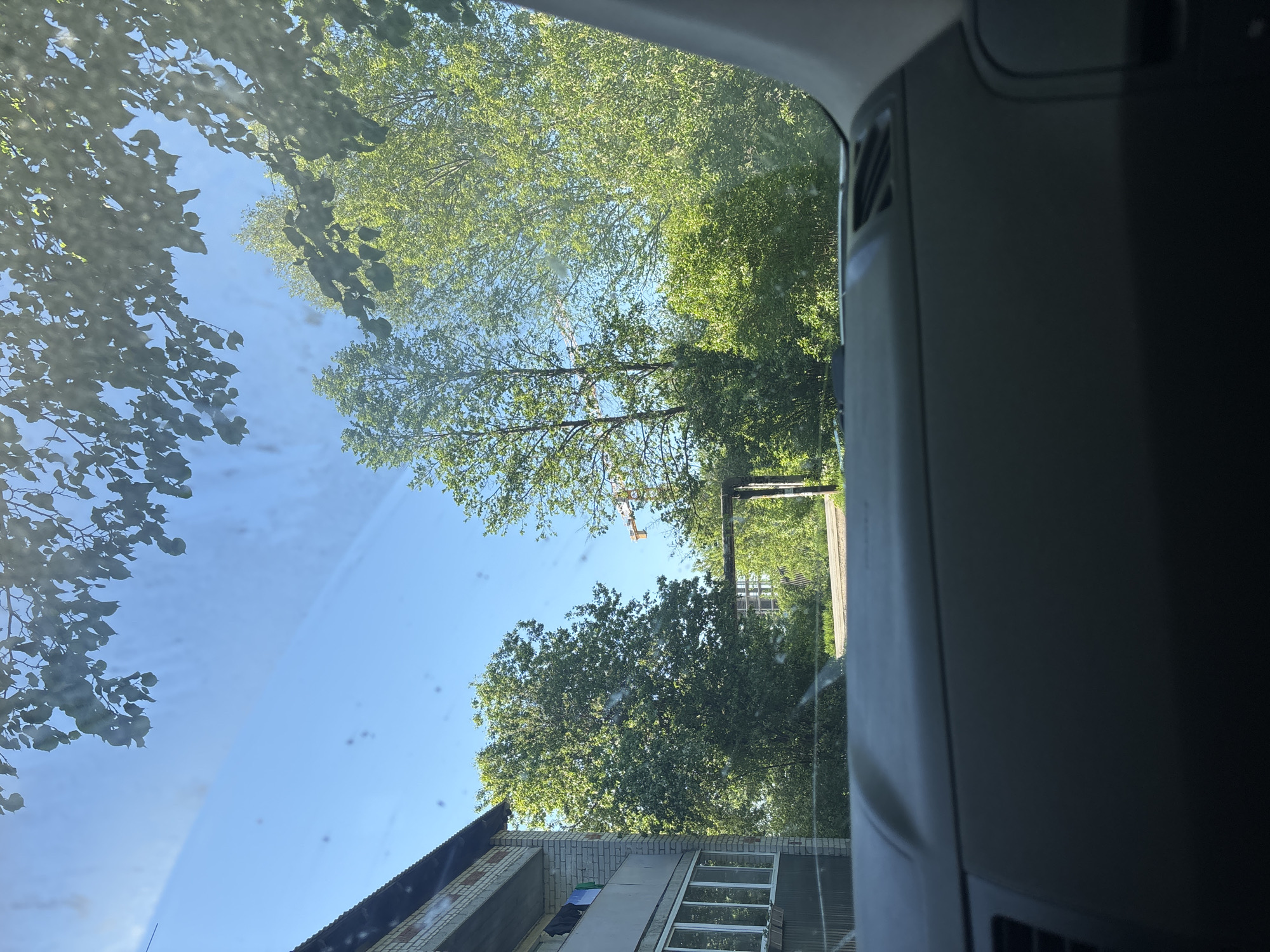 The image shows a view from inside a vehicle, looking upwards through the windshield. Trees with green foliage occupy a significant portion of the frame. In the background, there is a clear blue sky. The corner of a building, constructed from brick and potentially located in Горный, Russia, is visible in the bottom left corner. A crane can be seen among the trees. The interior of the vehicle is visible on the right side of the frame.