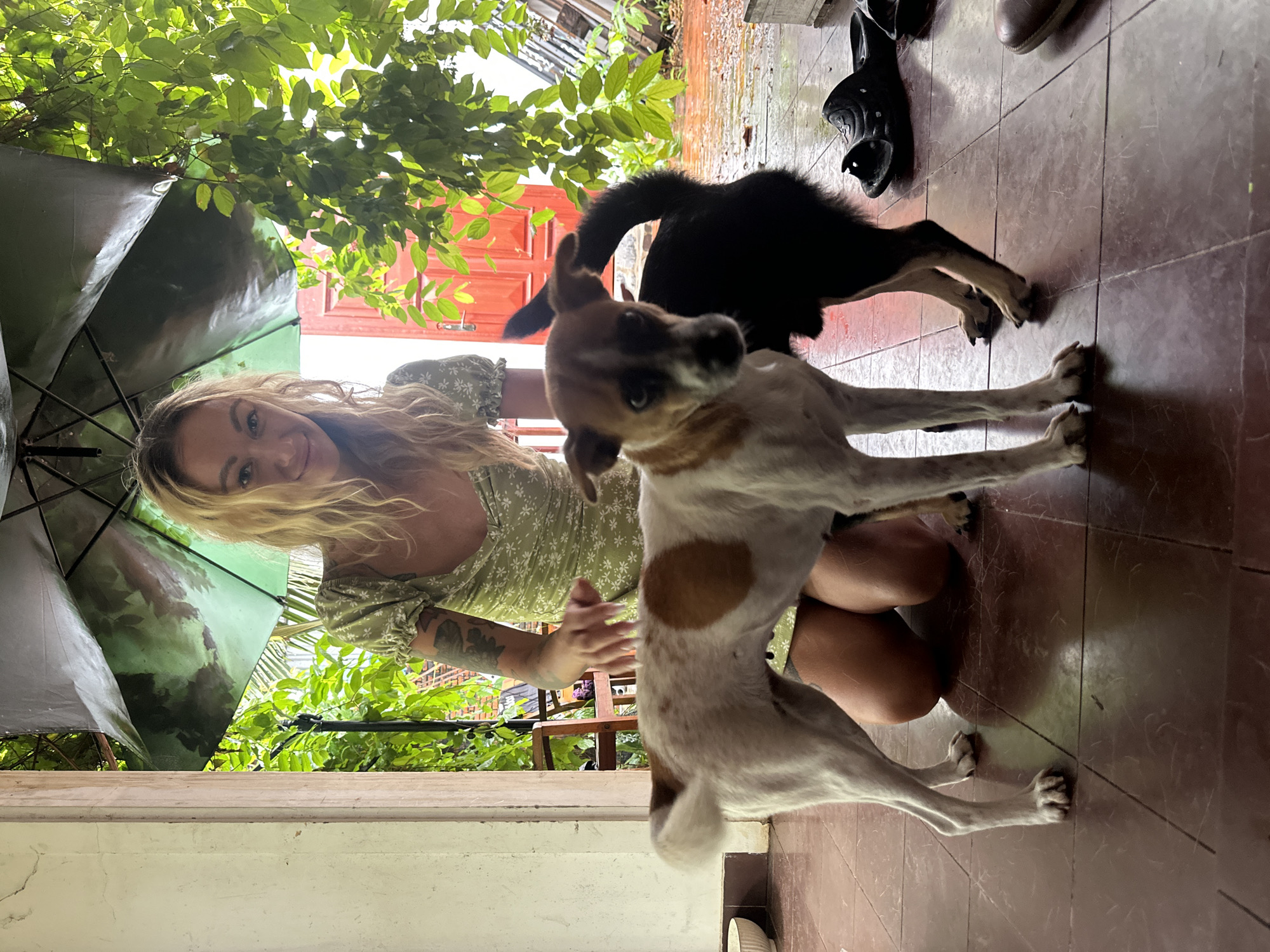 The image shows a woman crouching near the entrance of a building, likely in Mũi Né, Vietnam, based on the architectural style and foliage. She is holding a dark umbrella, and two dogs are near her. One dog is mostly white with brown patches and stands on its hind legs with its front paws extended. The other dog is black and is positioned behind the first dog. The woman wears a green floral dress and has blonde hair and a tattoo on her left arm. The background reveals green foliage, a red door, and a tiled floor. The scene appears to be taken from a low angle.