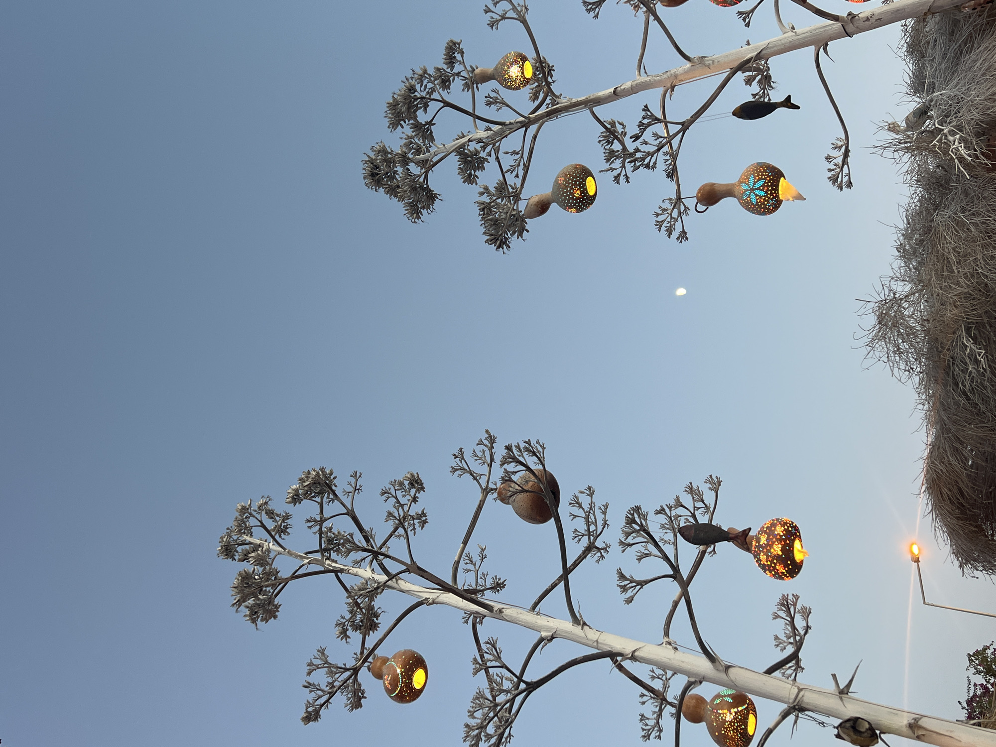 In a city location of Unknown, Unknown, two stylized, barren trees with white bark stand against a clear, pale blue sky. The branches of these trees are adorned with numerous gourd-shaped lamps that emit a warm, yellow-orange light. Some of the gourds are decorated with intricate patterns of blue and gold. Suspended from some branches are dark, fish-shaped ornaments. In the lower portion of the image, a street light with a glowing orange bulb is visible, along with a large mound of dried, straw-like vegetation. A faint crescent moon is discernible in the sky above the trees. The overall scene appears to be an outdoor decorative installation, possibly in a park or public space.