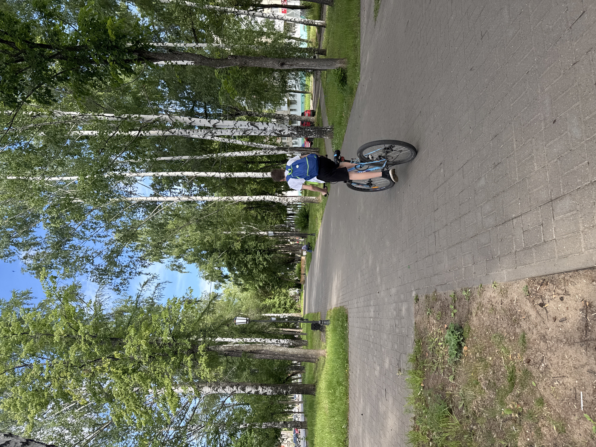 A young boy wearing a white t-shirt, black shorts, and a blue backpack rides a blue bicycle on a paved walkway. The walkway is bordered by a grassy area on the left and trees on the right. Several birch trees with white bark and green foliage line the walkway. In the background, there are buildings and more trees under a partly cloudy blue sky. The scene appears to be a park or a tree-lined street in Chaikovsky, Russia.