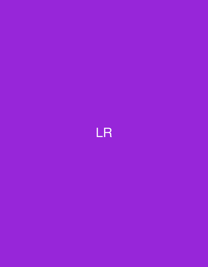 The image displays a solid, uniform purple background. Centered horizontally and slightly below the vertical midpoint, two uppercase white sans-serif letters, "LR," are presented. There are no discernible people, subjects, objects beyond the text, actions, or interactions depicted. The image is a graphic display and contains no visual information or contextual clues that would allow for the identification of a physical location, such as a city like Casablanca, Morocco.
