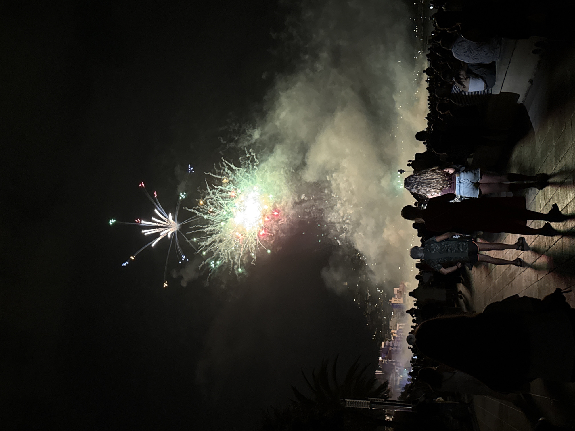 The image captures a nighttime scene in Blanes, Spain, featuring a fireworks display over a coastal town. The sky is dark, illuminated by a vibrant burst of fireworks in the upper portion of the frame. Various colors, including white, green, red, and blue, are visible in the explosive pyrotechnics, with trails of smoke and light ascending upwards. Below the fireworks, the town is visible as a dark silhouette with scattered lights, suggesting buildings and illuminated areas along the coastline.
In the foreground and midground, a crowd of people is gathered along a paved walkway, facing the direction of the fireworks. Most of the individuals are silhouetted against the light, making their features indistinct. Some people are standing, while others appear to be seated. The walkway is lined with trees, including a palm tree on the left side of the image, and a low wall or bench on the right where some spectators are seated. The ground is paved with textured tiles, reflecting some of the ambient light. The overall atmosphere suggests a celebratory event, likely a festival or holiday, with the town of Blanes serving as the backdrop for the aerial spectacle.