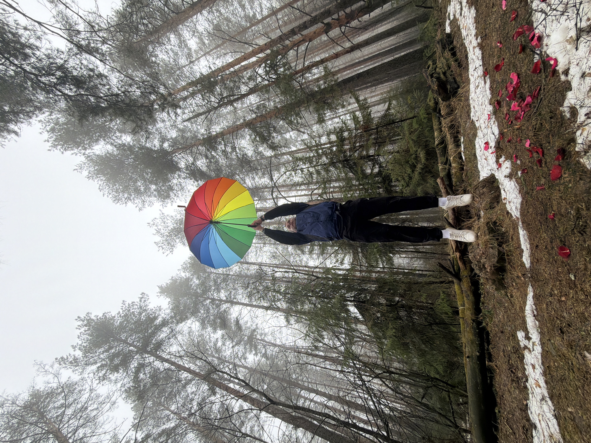 A person stands in a forest in Прикамский, Russia, holding a rainbow-colored umbrella above them. The person is wearing dark clothing and white sneakers. The ground is covered in brown vegetation, with patches of snow and scattered red rose petals. Tall trees surround the person, their bare branches reaching into a hazy sky.