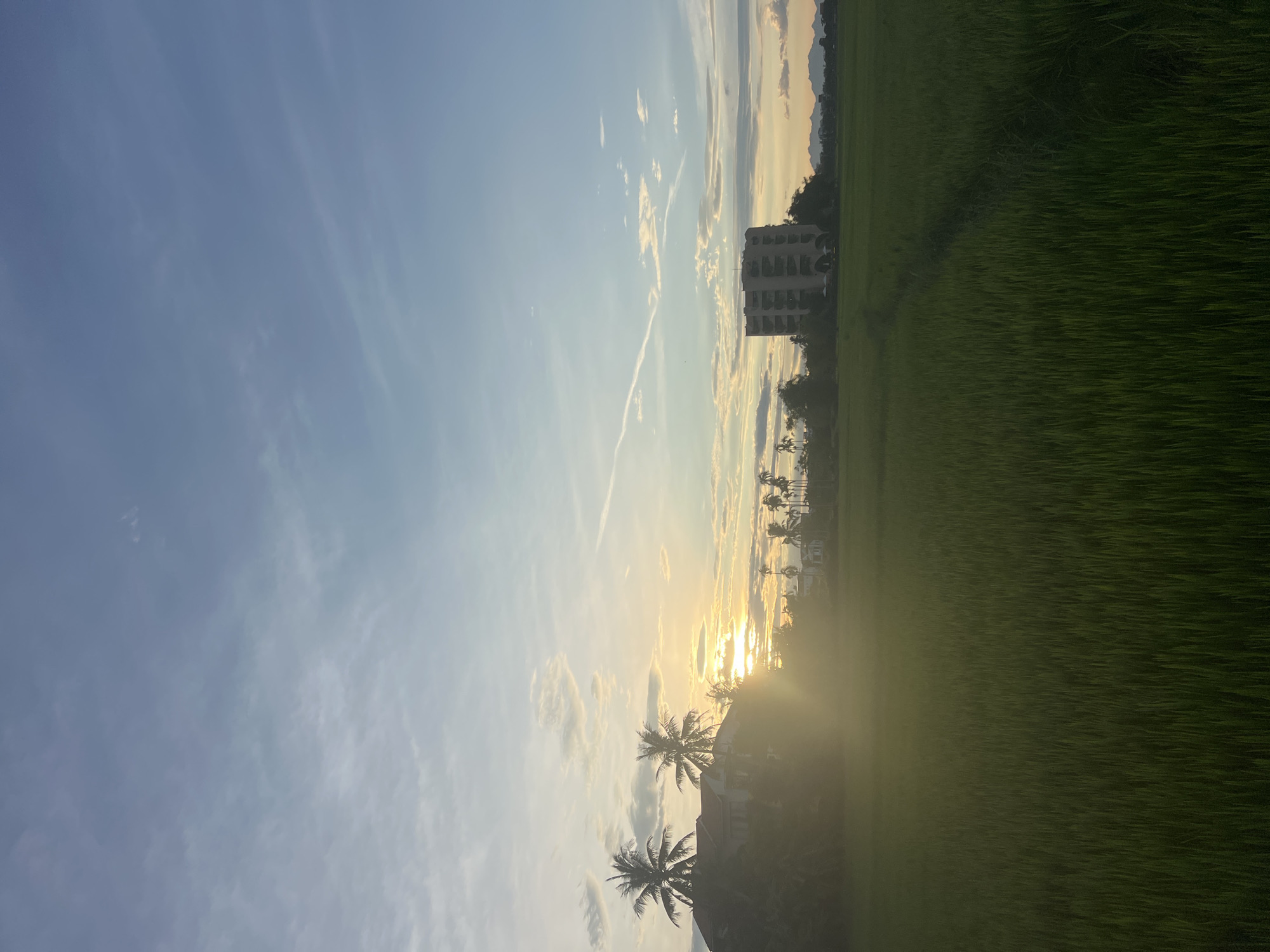This is a vertical, eye-level, medium shot of a rice paddy field in Hoi An, Vietnam, at sunset. The sky is a gradient of pale blue and yellow, with thin white clouds scattered across it. The sun is low in the sky, casting a bright glare over the scene and creating lens flare.
On the left side of the image, two houses with red roofs are visible, partially obscured by palm trees. In the distance, a modern, multi-story building stands out against the sky. The rice paddy field in the foreground is lush and green, with a visible path winding through it. The overall impression is one of tranquility and natural beauty, with hints of human presence in the form of the buildings.