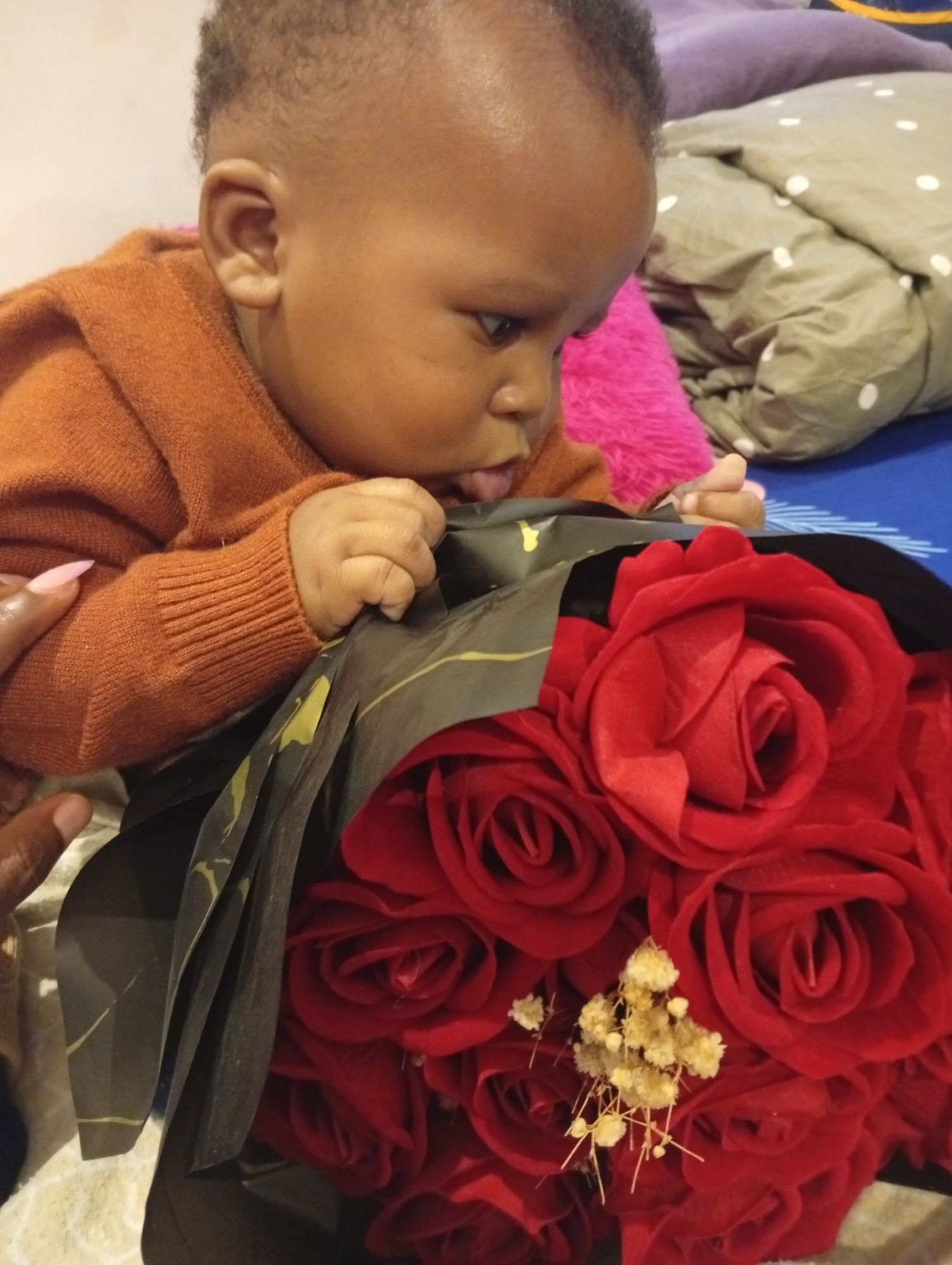 A close-up shot shows a baby leaning over a bouquet of red roses. The baby, with dark skin and curly hair, is wearing an orange sweater and appears to be examining the flowers. The baby's head is tilted down, and its mouth is slightly open, with its tongue visible. The roses are vibrant red and are partially wrapped in dark paper with a subtle gold pattern. A few small, dried, pale yellow flowers are interspersed among the roses. In the background, a pink fluffy pillow and a crumpled duvet with a white polka dot pattern are visible, suggesting an indoor setting, likely a bedroom. Two adult hands are also visible in the frame, one with manicured nails in a light pink shade touching the baby's arm, and another hand on the left side of the image. The lighting appears to be natural and soft. The overall emotion conveyed is one of curiosity and gentle exploration. The scene is set in Abuja, Nigeria. There is no visible text in the image.