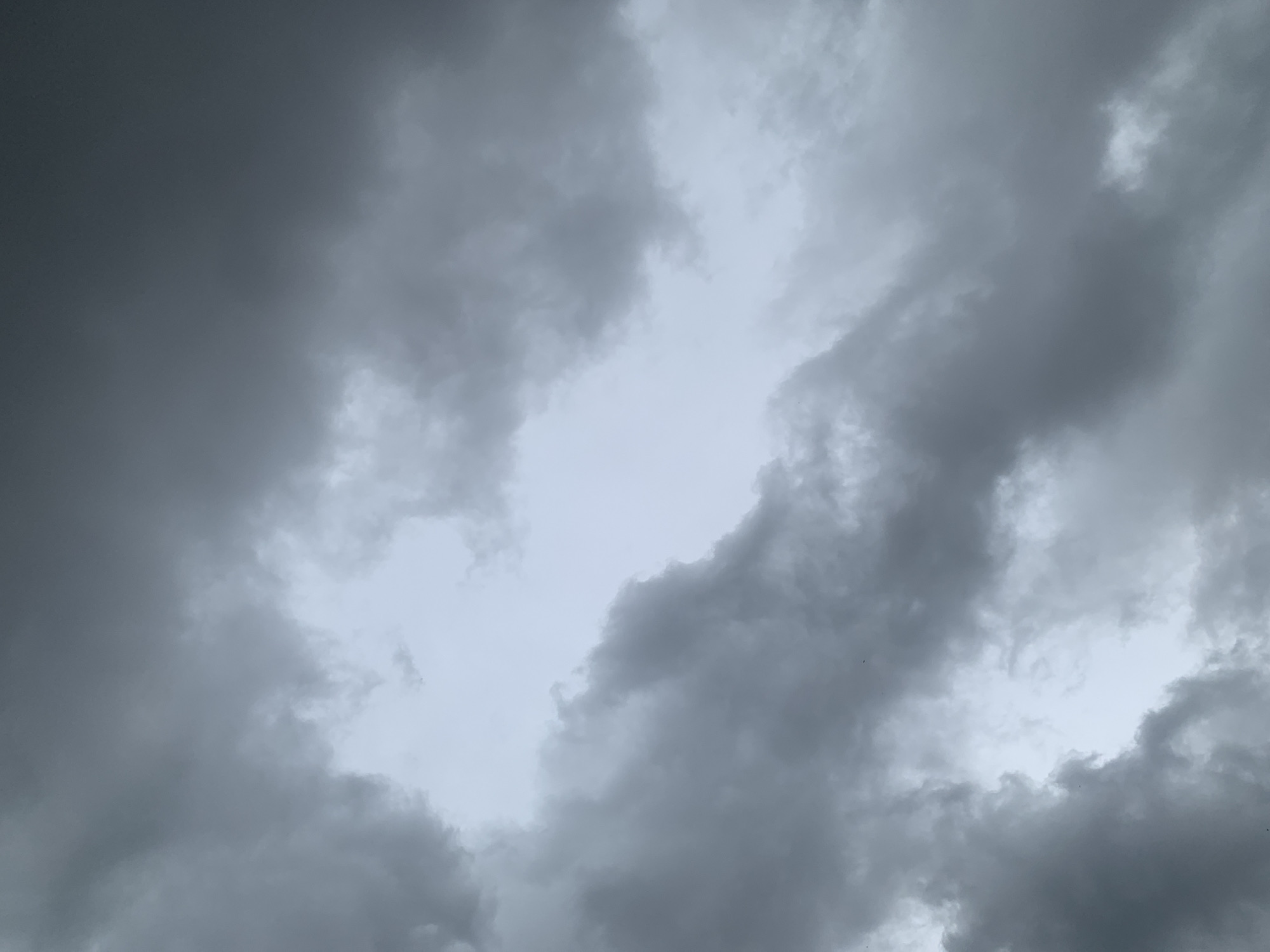 The image depicts a cloudy sky over Sabon Tasha, Nigeria. The clouds are dark gray and appear dense, suggesting an overcast or potentially stormy weather condition. There is a lighter area in the center of the frame, indicating a break in the cloud cover or a brighter patch of sky. The overall impression is one of an impending or ongoing period of heavy cloudiness.