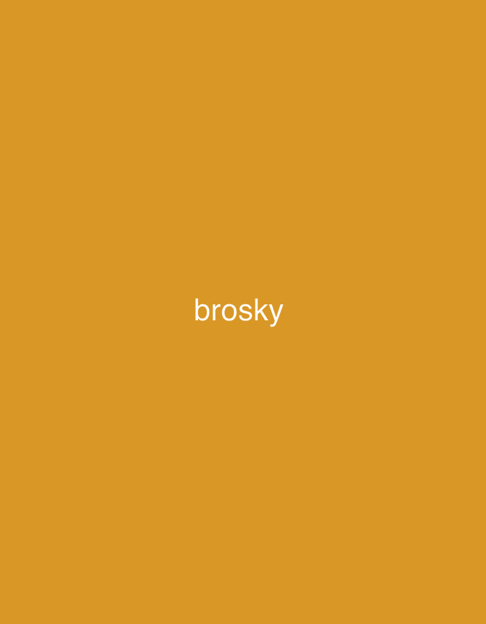 The image is a plain, solid orange background with the word "brosky" written in white text in the center. There are no other objects or people present. The location is unknown.