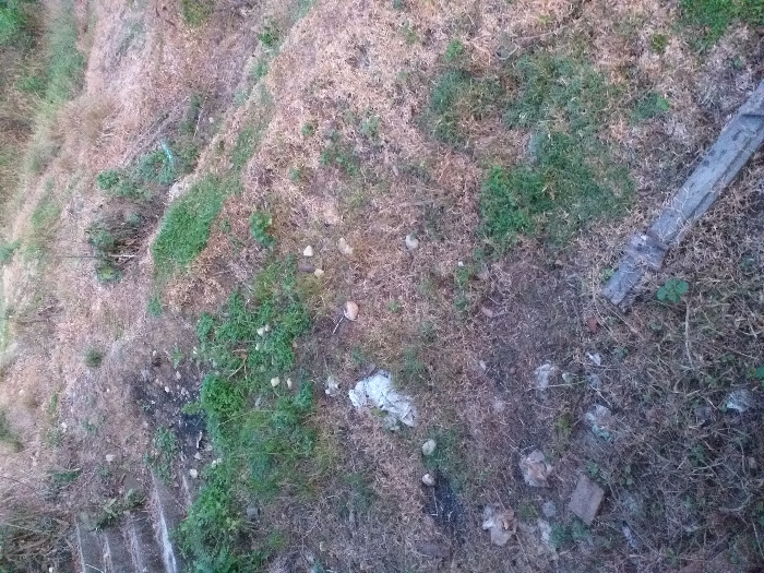 An overhead shot reveals a hillside overgrown with brown, dry grass interspersed with patches of green vegetation. Small rocks and debris are scattered throughout the area. A concrete structure lies on the right side. In the lower-left corner, a set of weathered steps descends down the slope. The landscape gives off a neglected, unkempt appearance.
